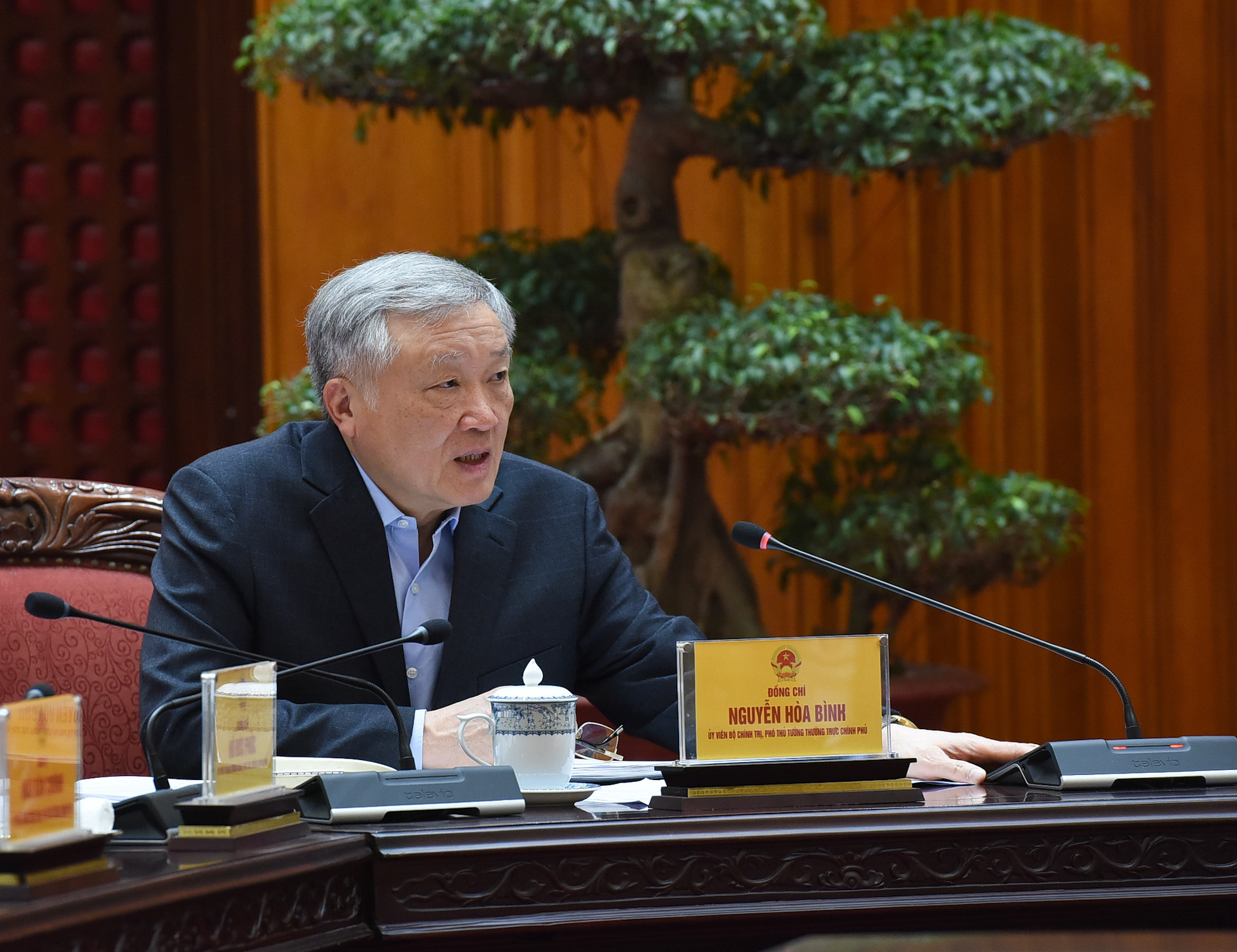 Phó Bí thư Thường trực Đảng ủy Chính phủ, Phó Thủ tướng Thường trực Chính phủ Nguyễn Hòa Bình phát biểu tại hội nghị.
