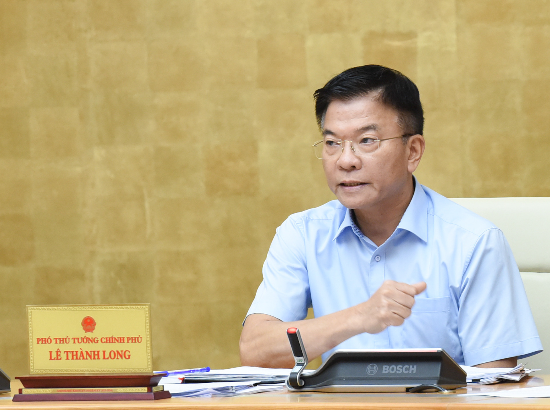 Phó Thủ tướng Lê Thành Long phát biểu.