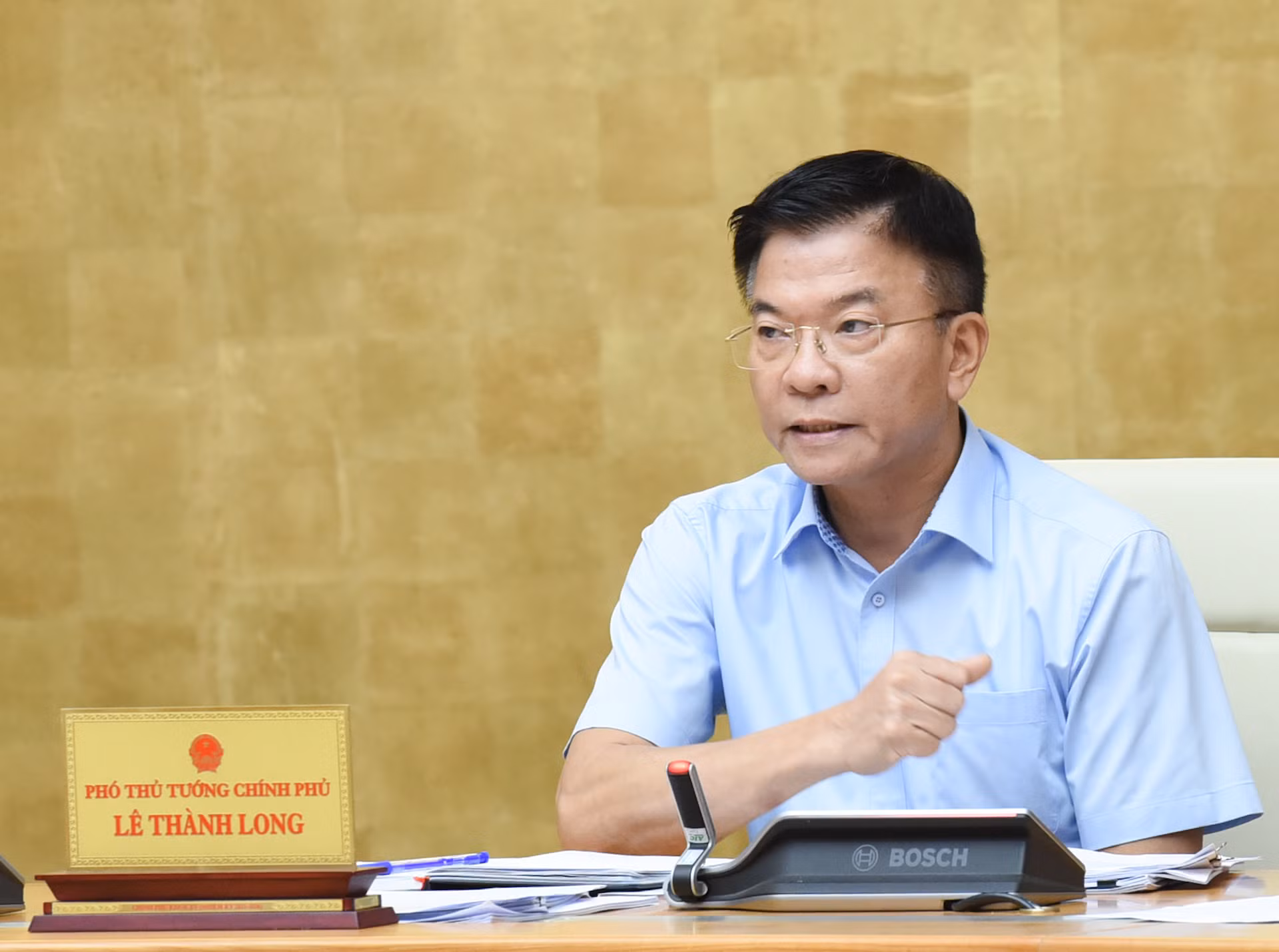 Phó Thủ tướng Lê Thành Long phát biểu.