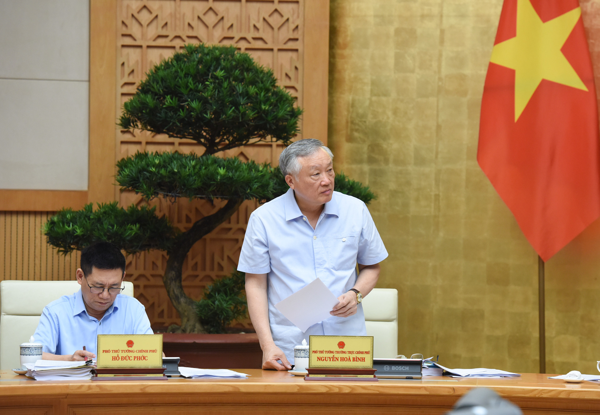 Phó Thủ tướng Thường trực Nguyễn Hòa Bình phát biểu.