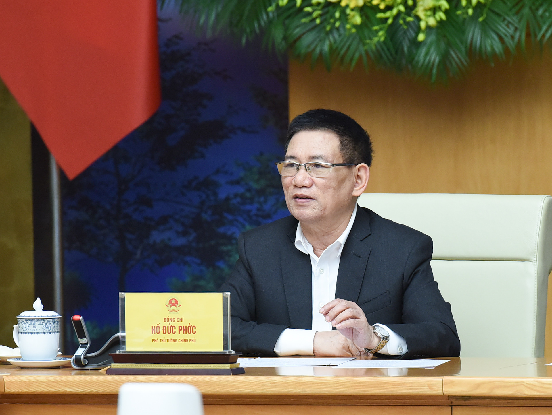 Phó Thủ tướng Hồ Đức Phớc phát biểu tại Hội nghị.