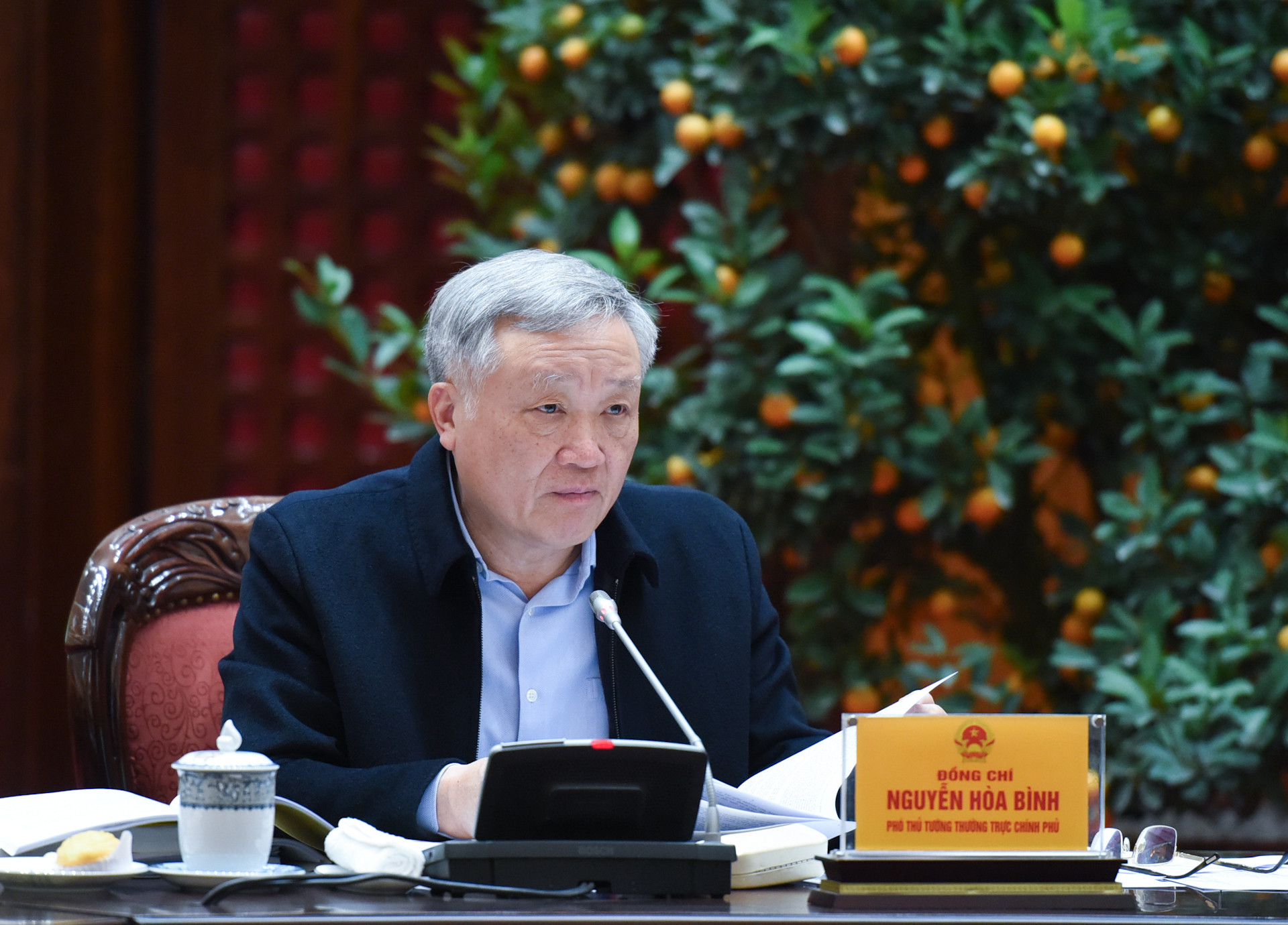 Phó Thủ tướng Thường trực Nguyễn Hòa Bình phát biểu tại phiên họp.