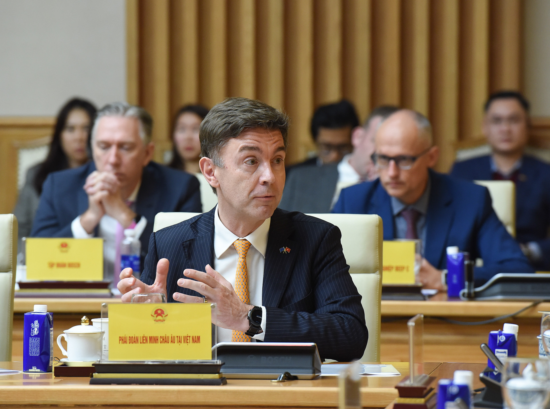 Đại diện phái đoàn Liên minh châu Âu tại Việt Nam phát biểu. Đại diện phái đoàn Liên minh châu Âu tại Việt Nam phát biểu.