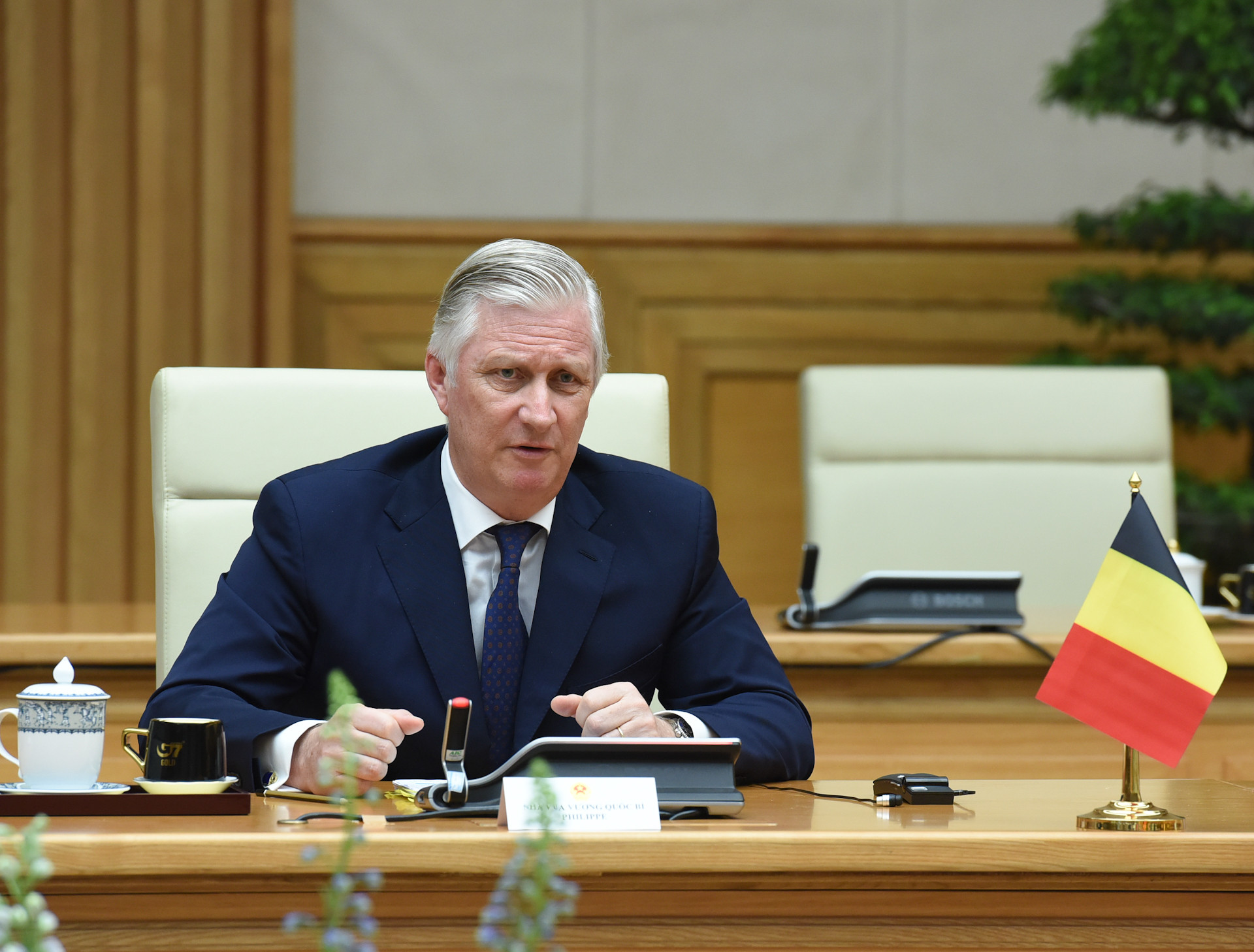 Nhà vua Vương quốc Bỉ Philippe phát biểu tại hội kiến.