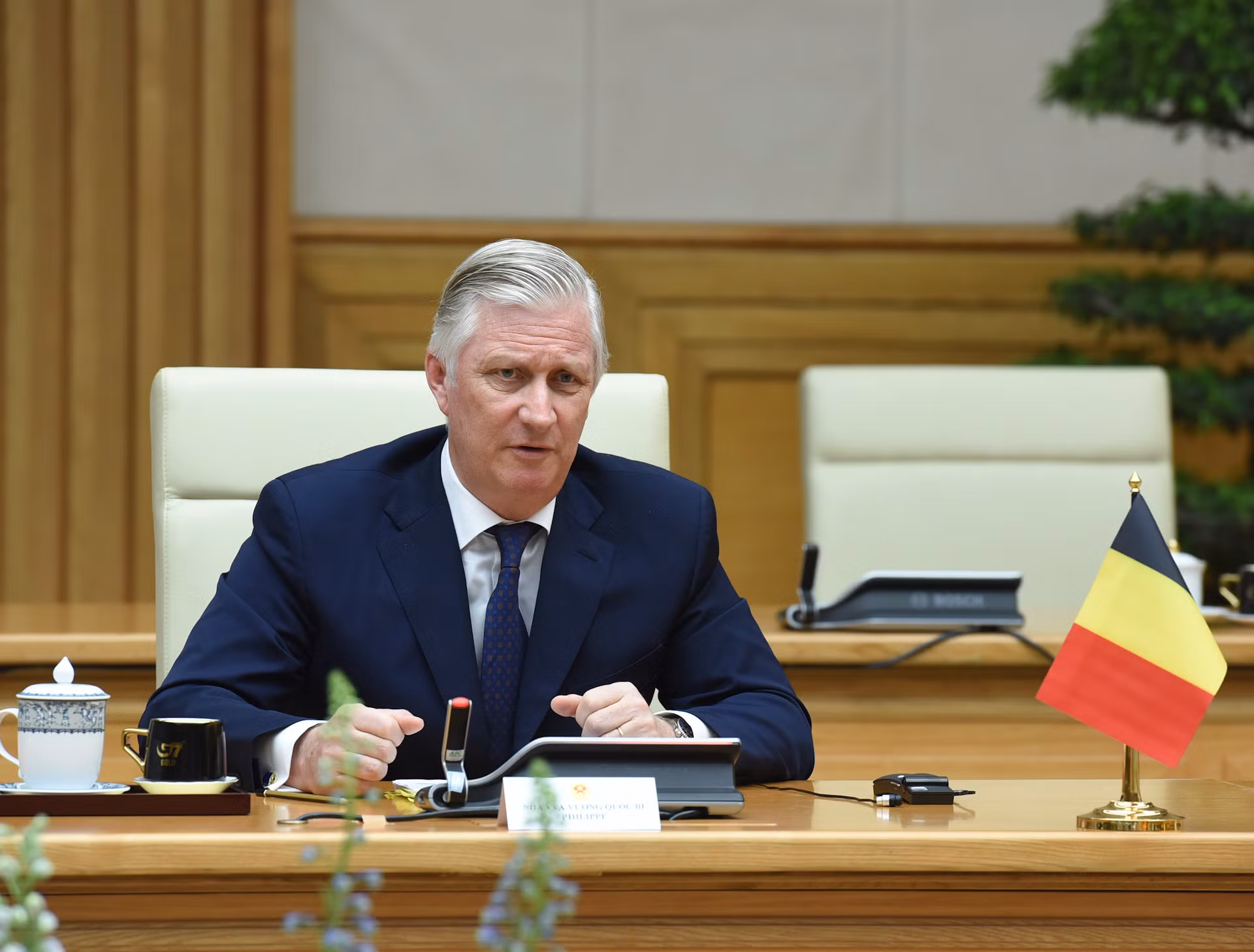 Nhà vua Vương quốc Bỉ Philippe phát biểu tại hội kiến.