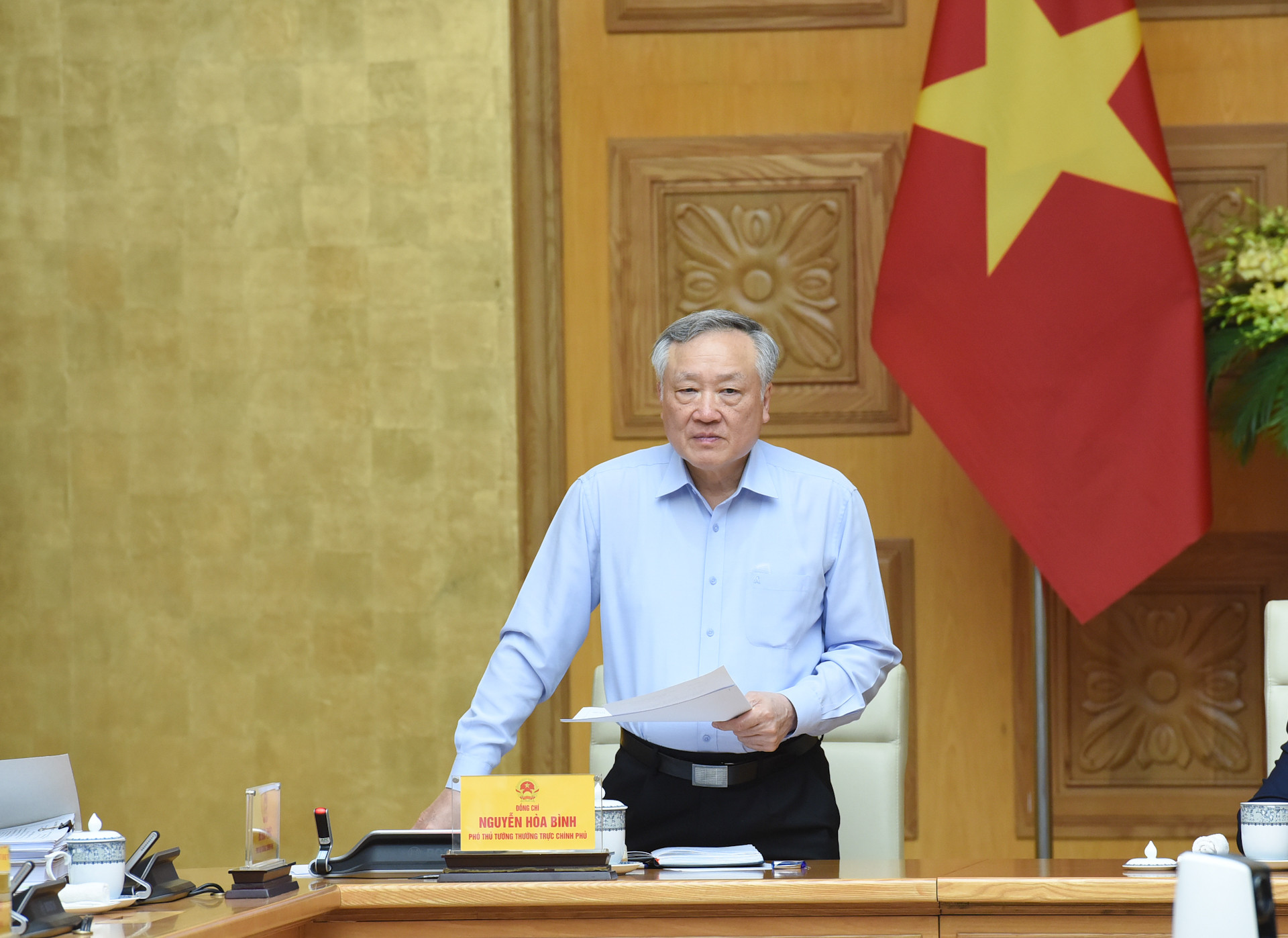 Phó Thủ tướng Thường trực Nguyễn Hòa Bình phát biểu.