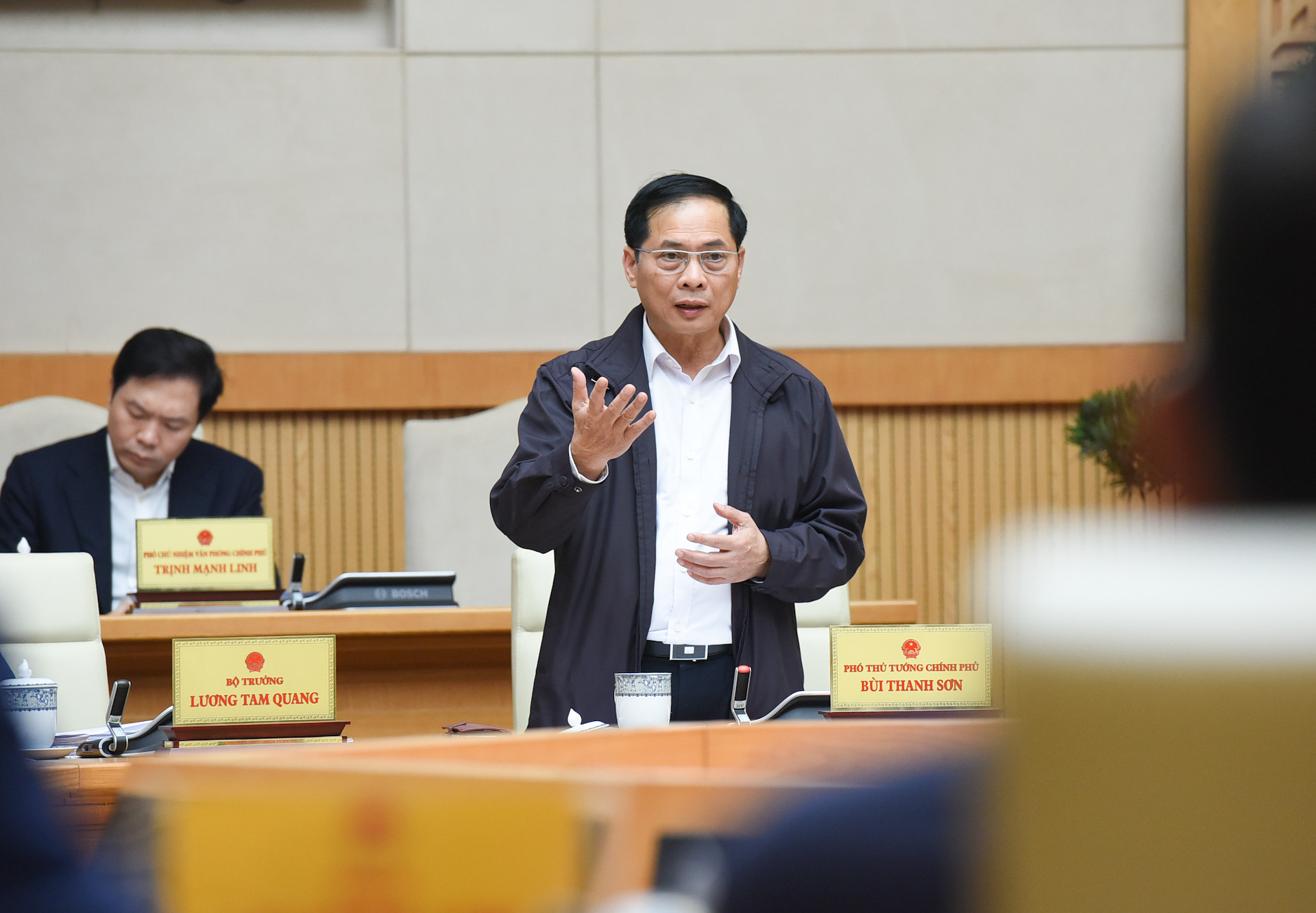 Phó Thủ tướng Bùi Thanh Sơn phát biểu tại phiên họp.