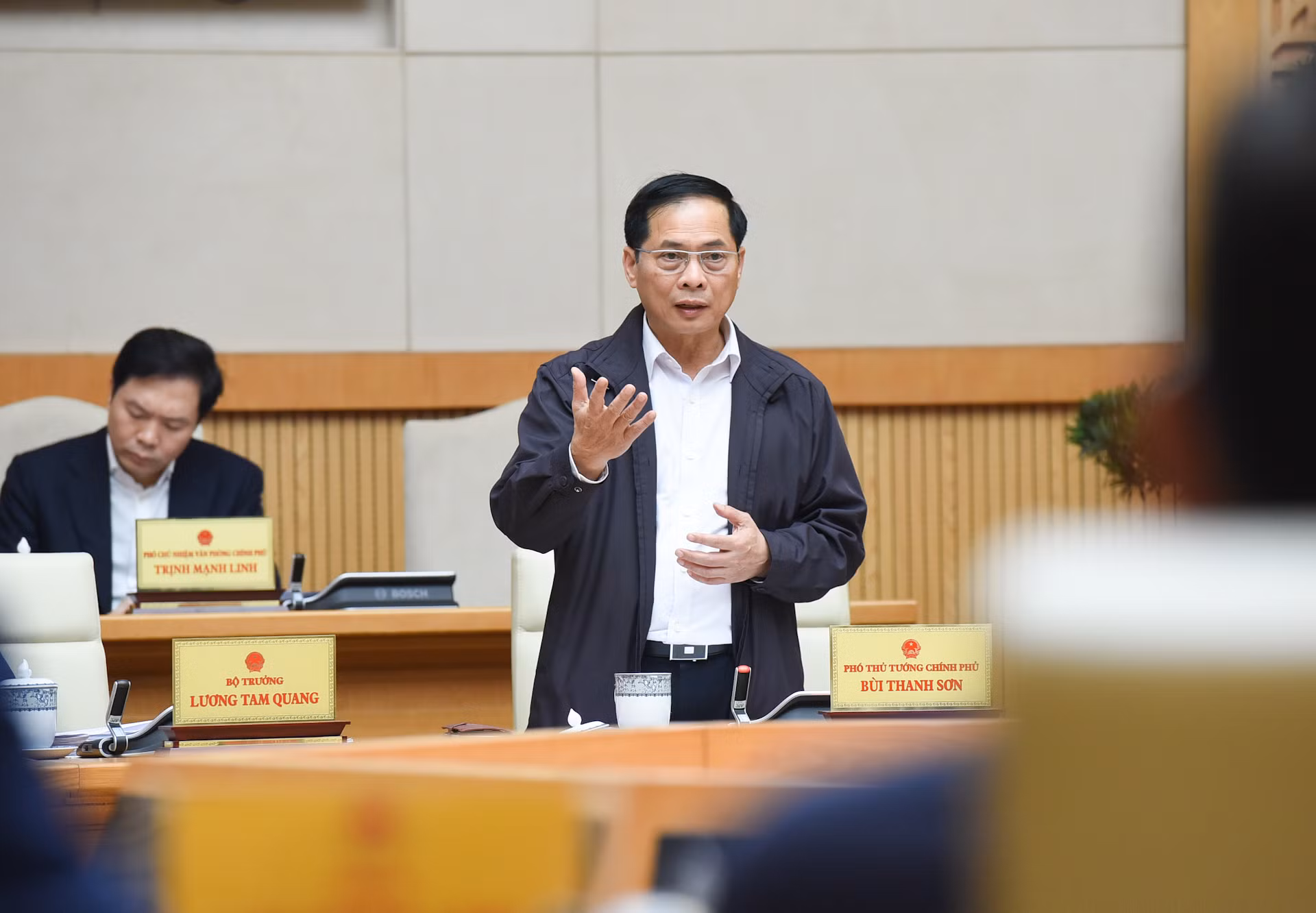 Phó Thủ tướng Bùi Thanh Sơn phát biểu tại phiên họp.