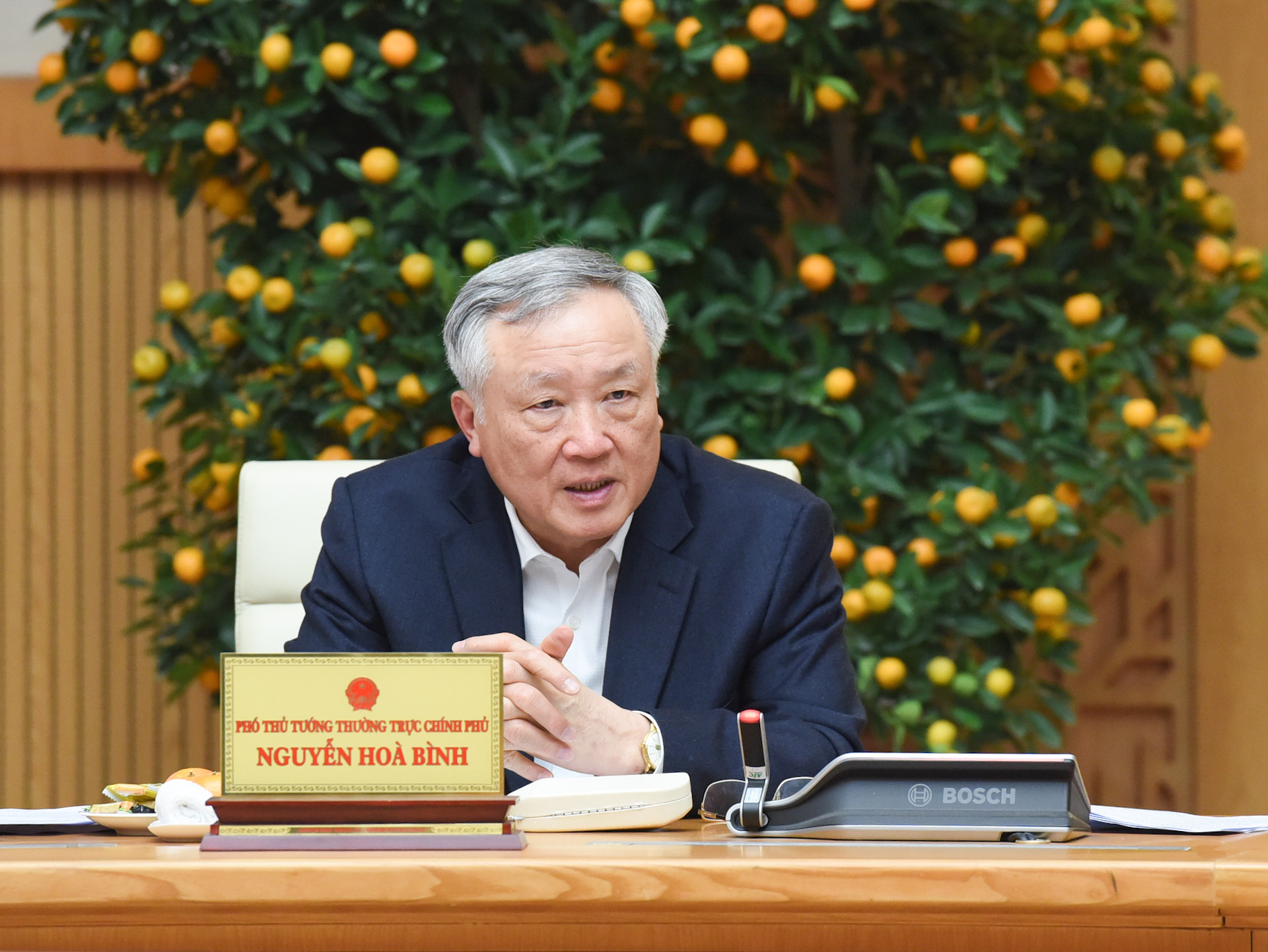 Phó Thủ tướng thường trực Nguyễn Hòa Bình phát biểu. Phó Thủ tướng thường trực Nguyễn Hòa Bình phát biểu.