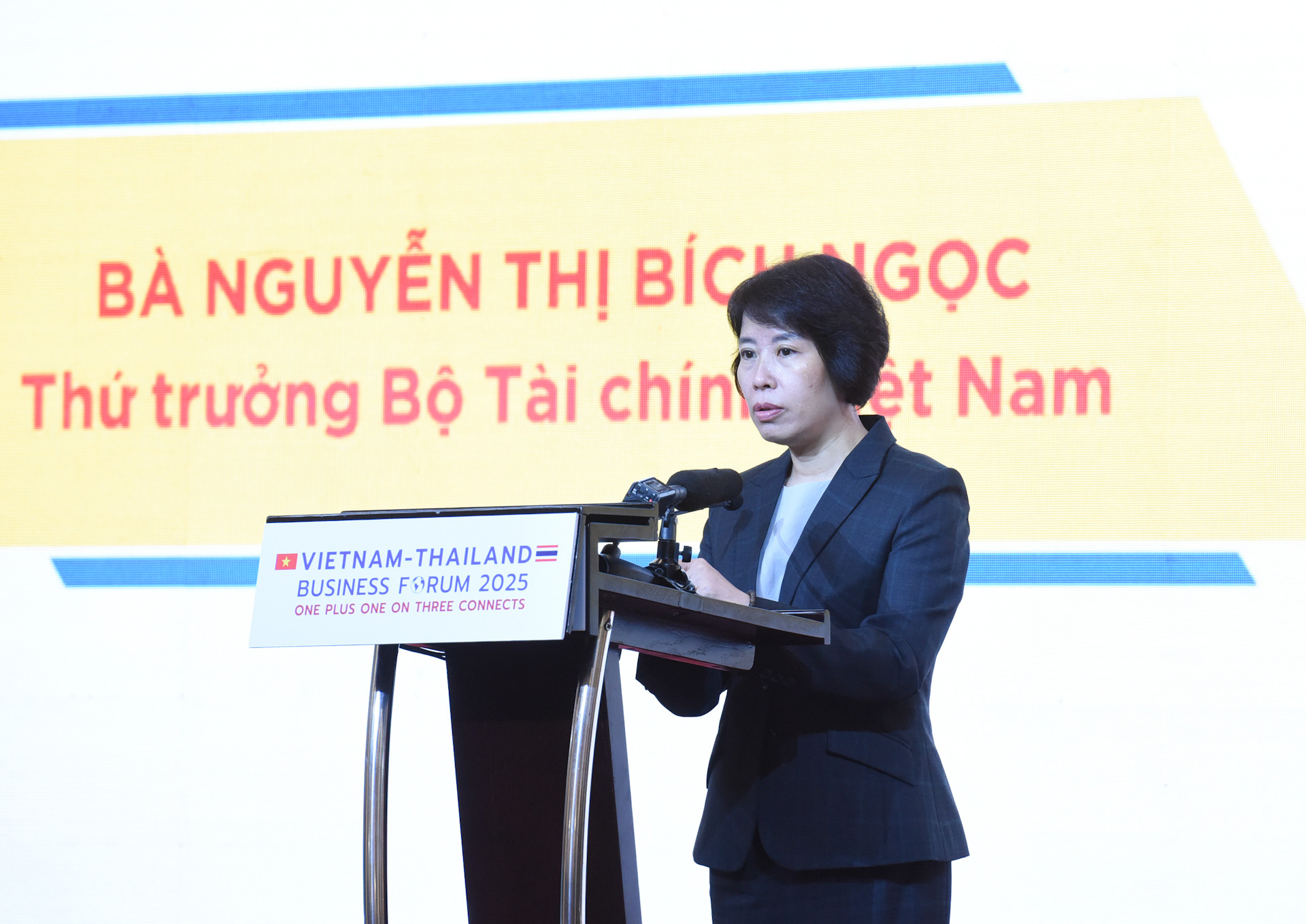 Thứ trưởng Tài chính Nguyễn Thị Bích Ngọc phát biểu.