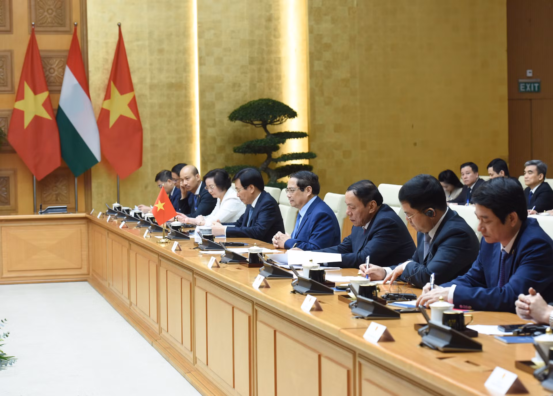 [Ảnh] Thủ tướng Phạm Minh Chính hội kiến với Tổng thống Hungary Sulyok Tamas ảnh 4