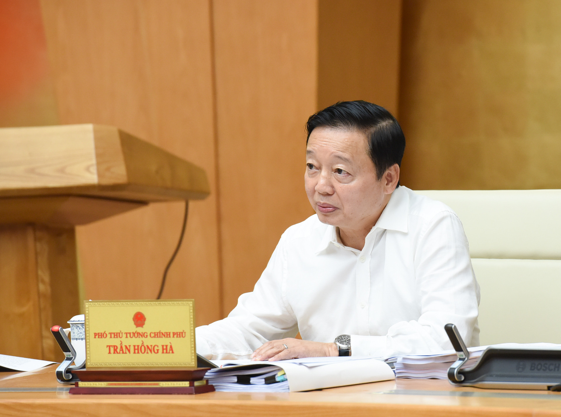 Phó Thủ tướng Trần Hồng Hà phát biểu tại phiên họp.