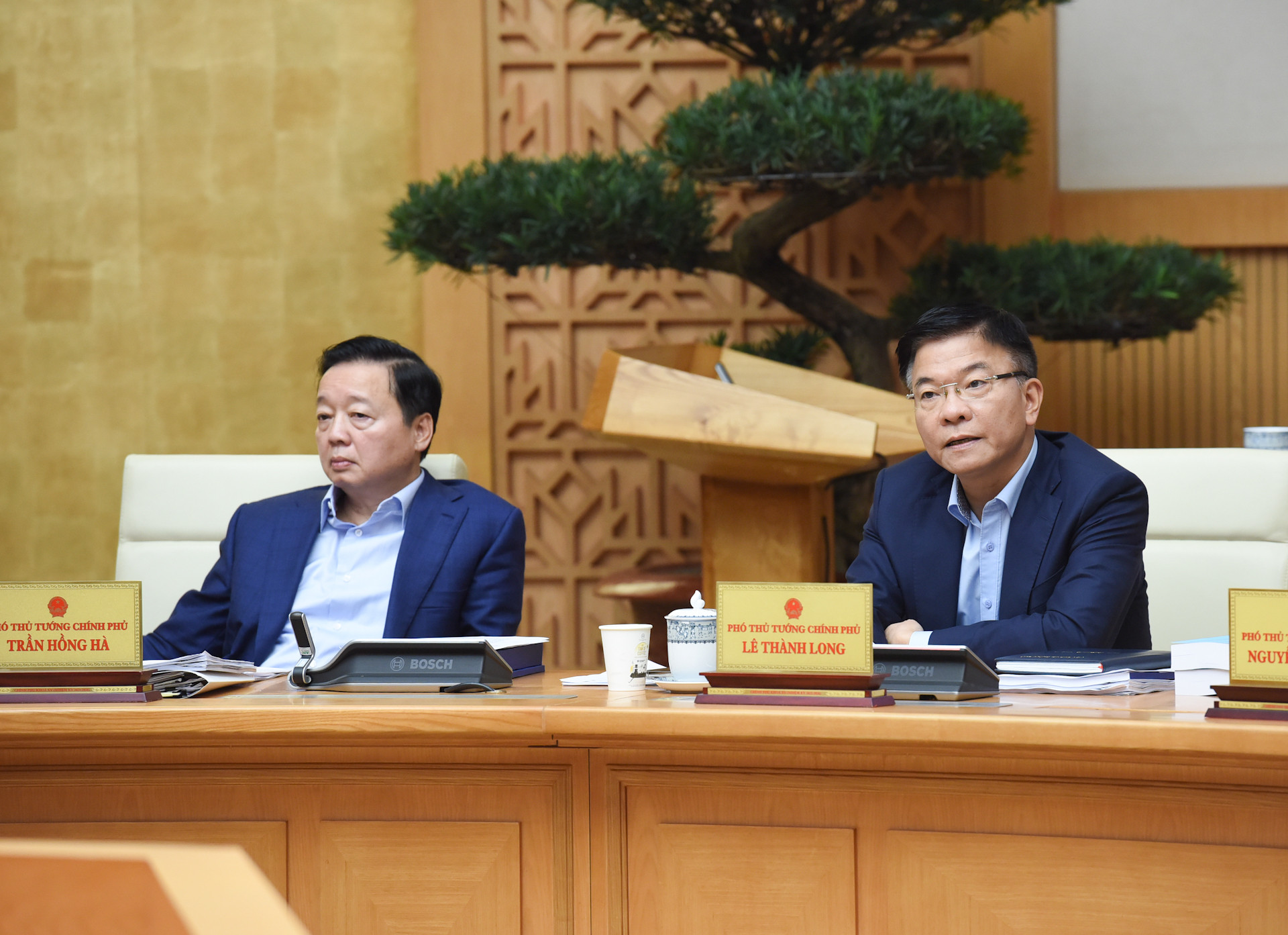 Phó Thủ tướng Lê Thành Long phát biểu tại phiên họp.