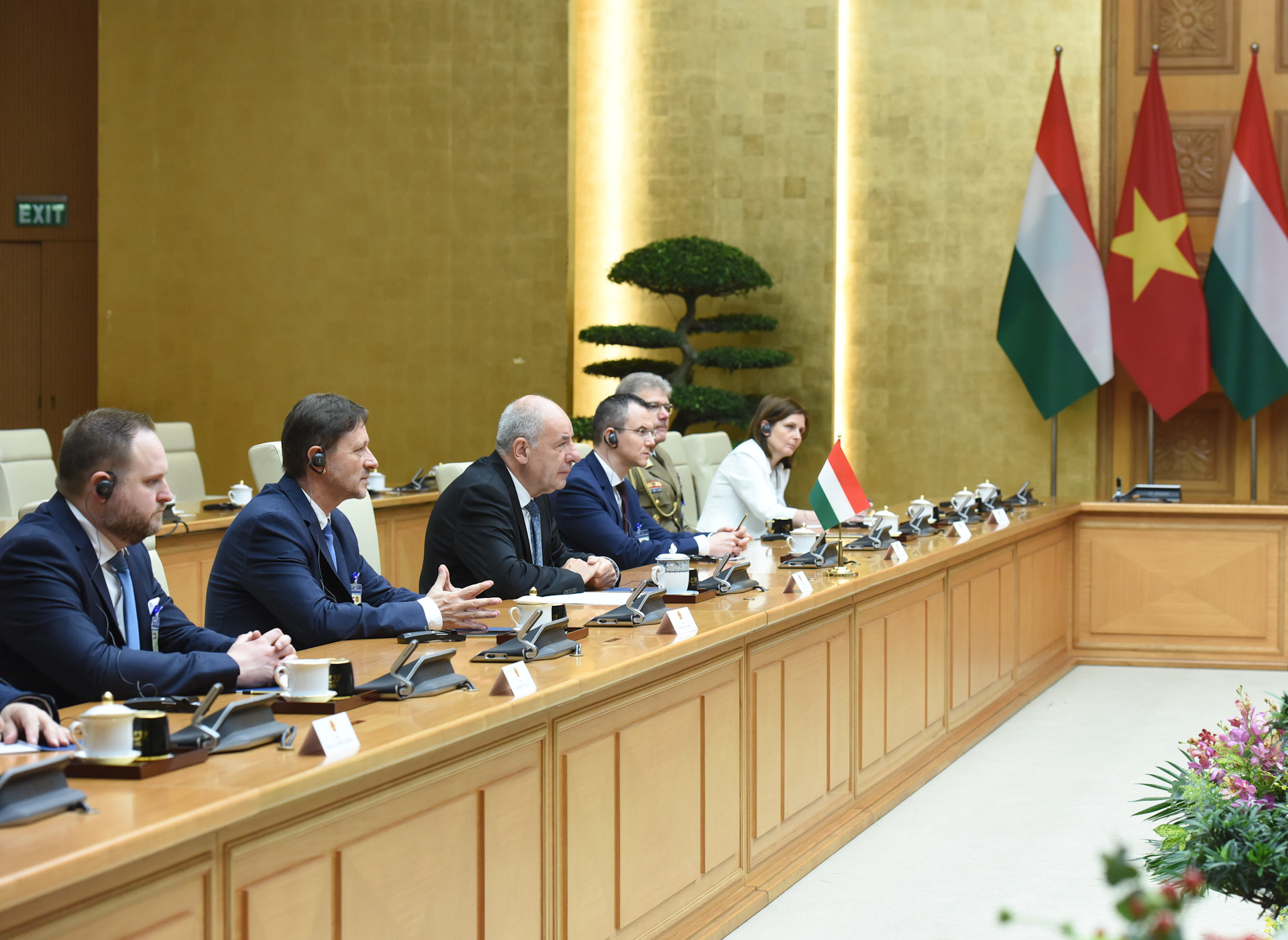 [Ảnh] Thủ tướng Phạm Minh Chính hội kiến với Tổng thống Hungary Sulyok Tamas ảnh 7