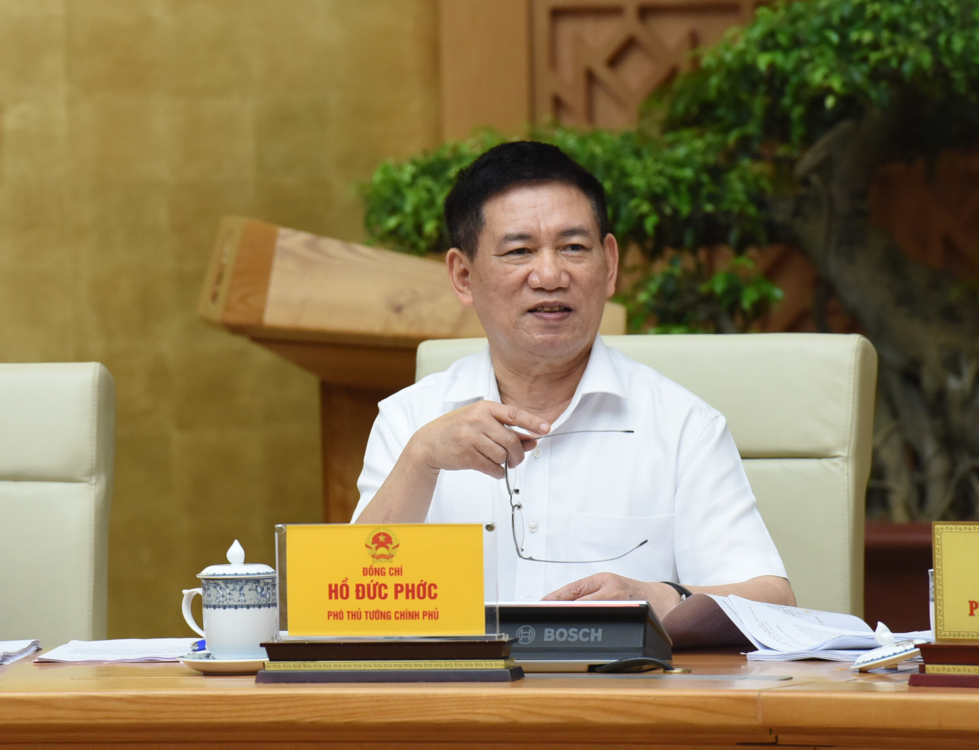 Phó Thủ tướng Hồ Đức Phớc phát biểu.