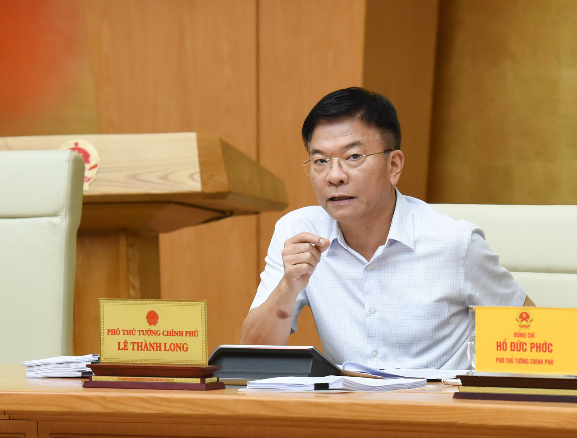 Phó Thủ tướng Lê Thành Long phát biểu.