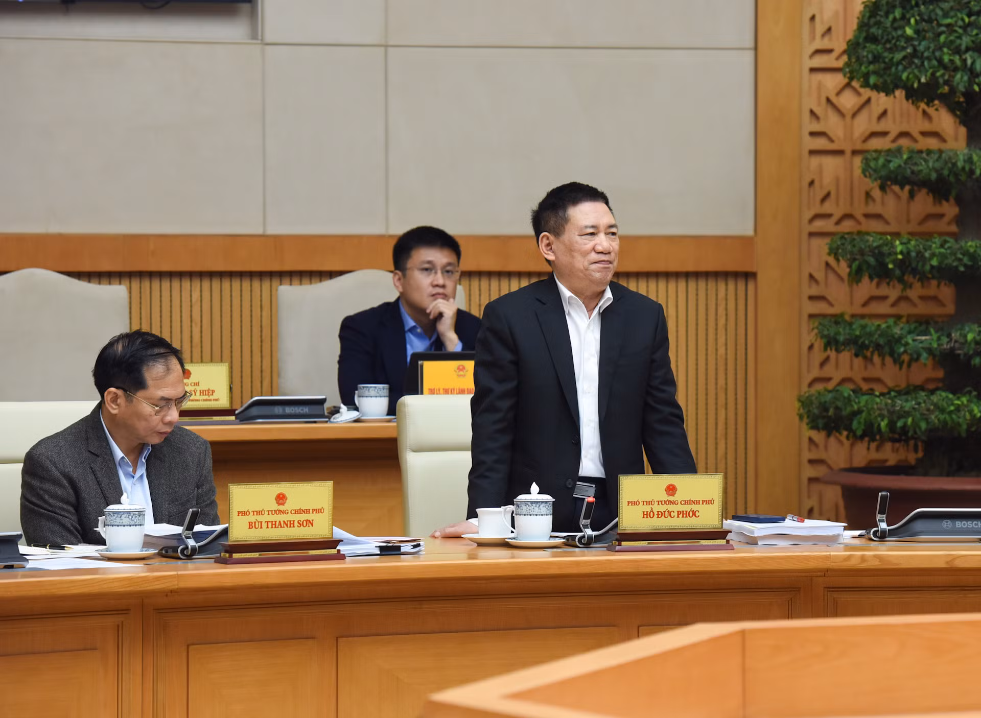 Phó Thủ tướng Hồ Đức Phớc phát biểu.