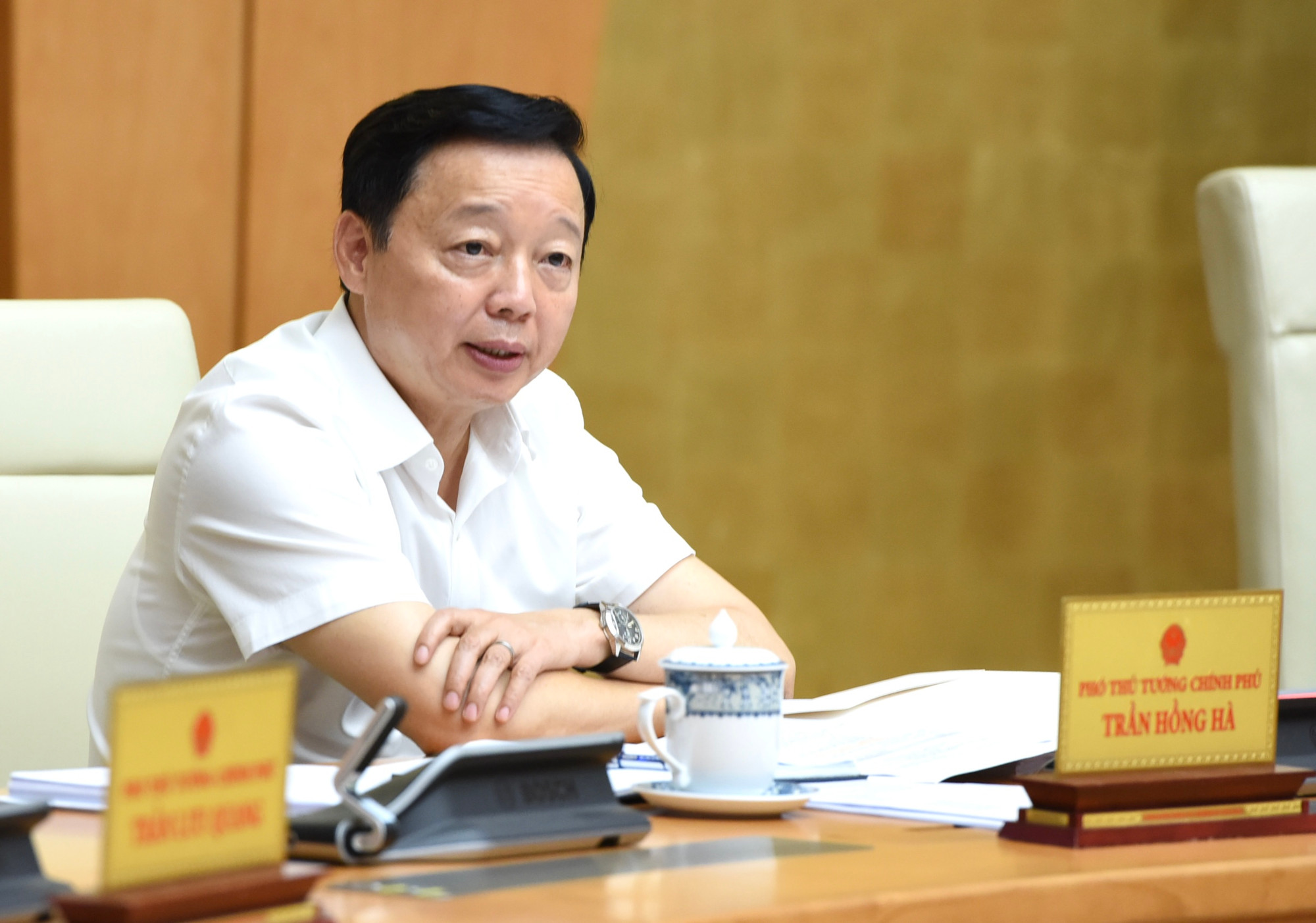 Phó Thủ tướng Trần Hồng Hà phát biểu tại phiên họp.