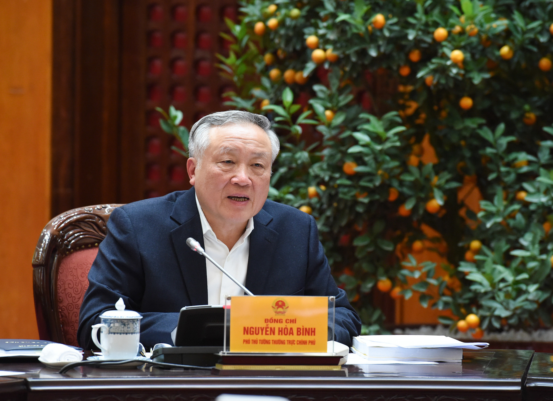 Phó Thủ tướng Thường trực Nguyễn Hòa Bình phát biểu tại phiên họp.