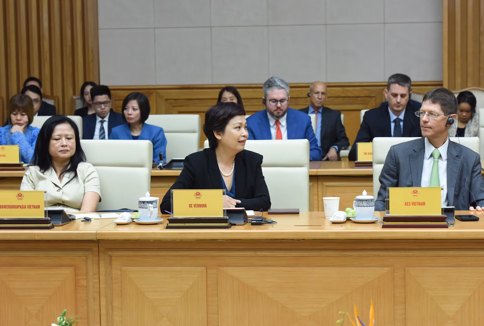 Giám đốc Quan hệ Chính phủ, GE Vernova Trần Huệ Chi phát biểu.