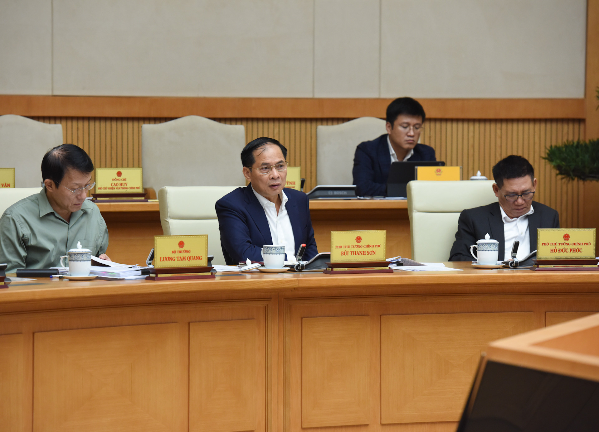 Phó Thủ tướng Bùi Thanh Sơn phát biểu.