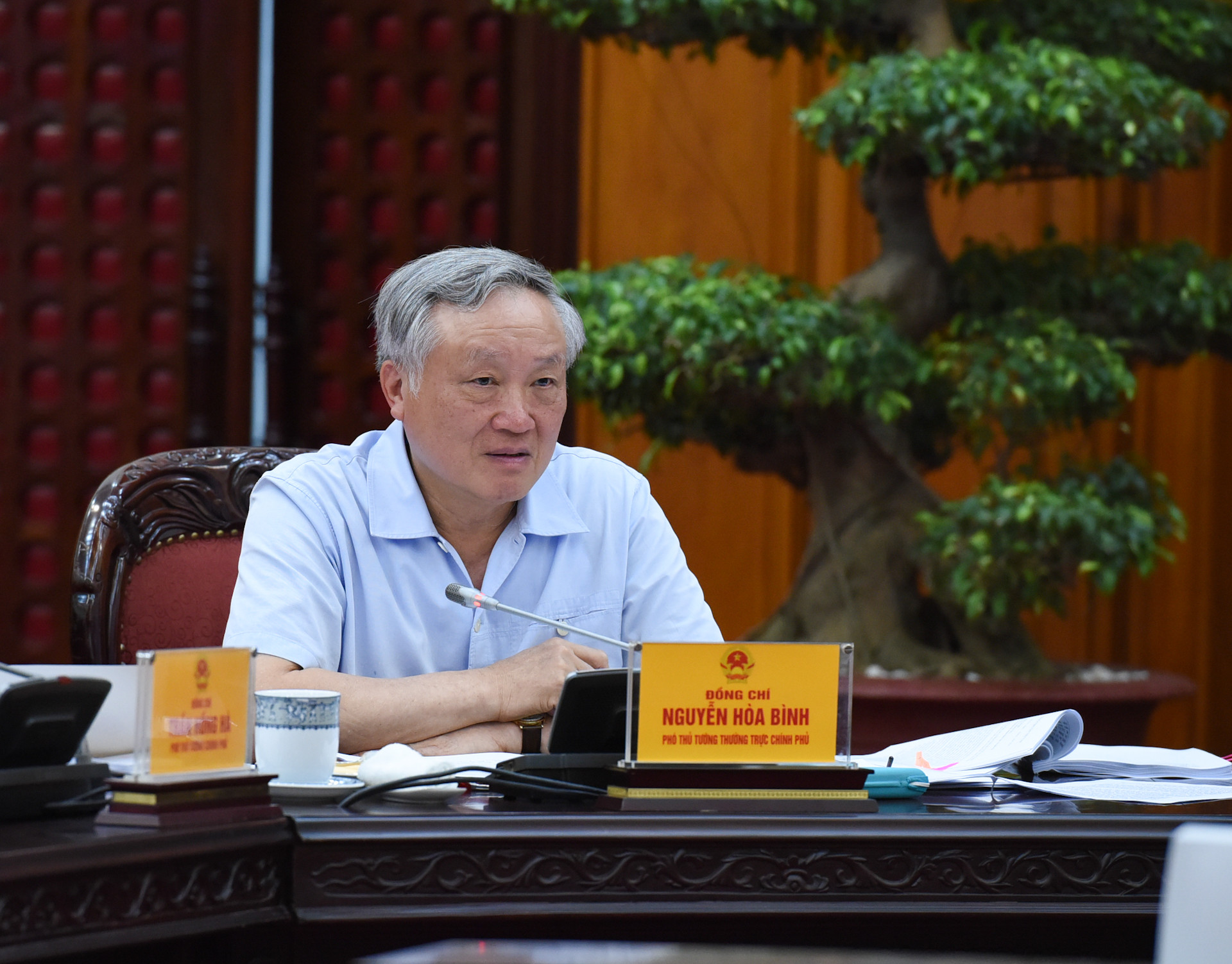 Phó Thủ tướng Thường trực Chính phủ Nguyễn Hòa Bình phát biểu tại cuộc họp. Phó Thủ tướng Thường trực Chính phủ Nguyễn Hòa Bình phát biểu tại cuộc họp.