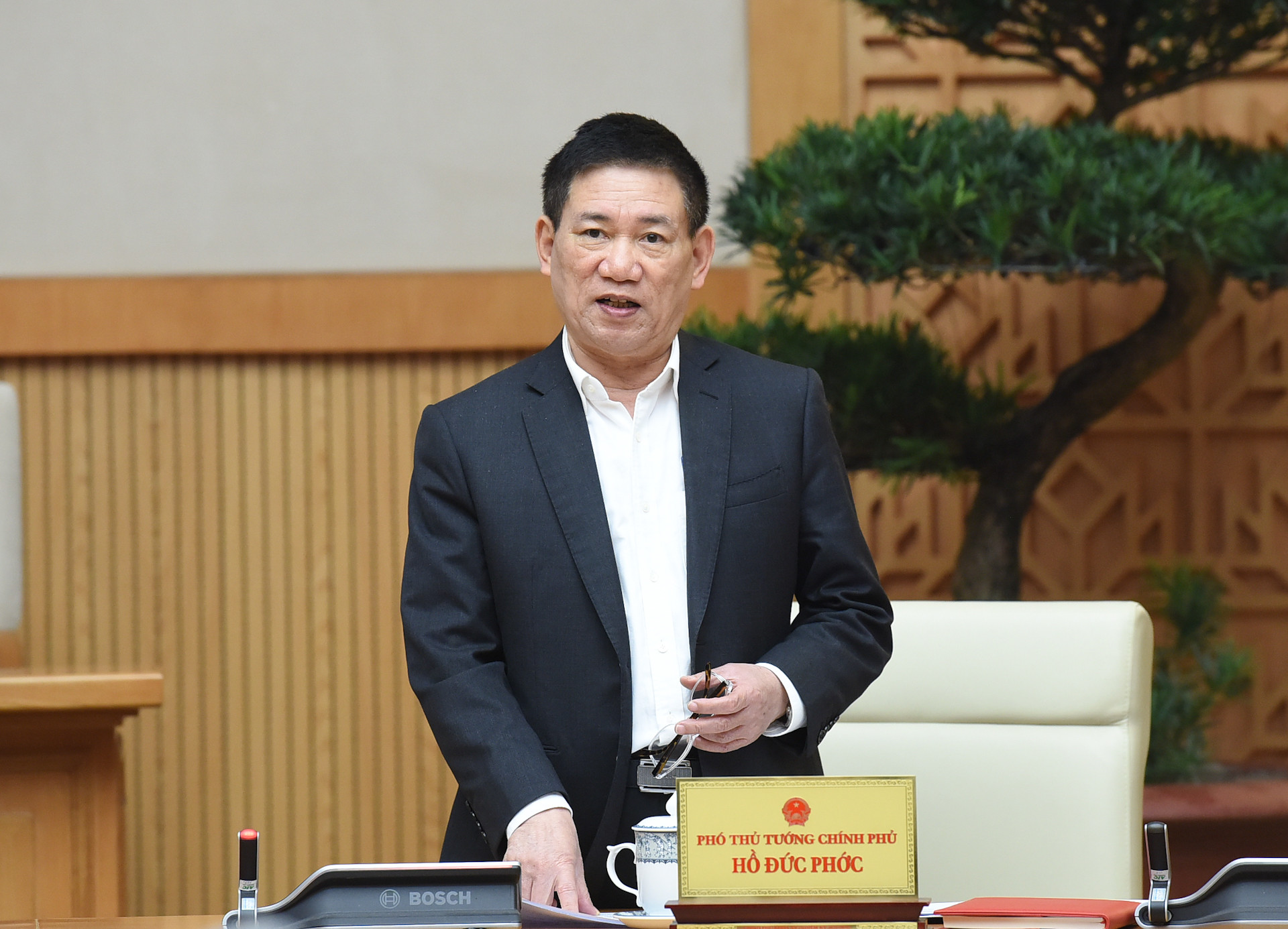 Phó Thủ tướng Hồ Đức Phớc phát biểu.