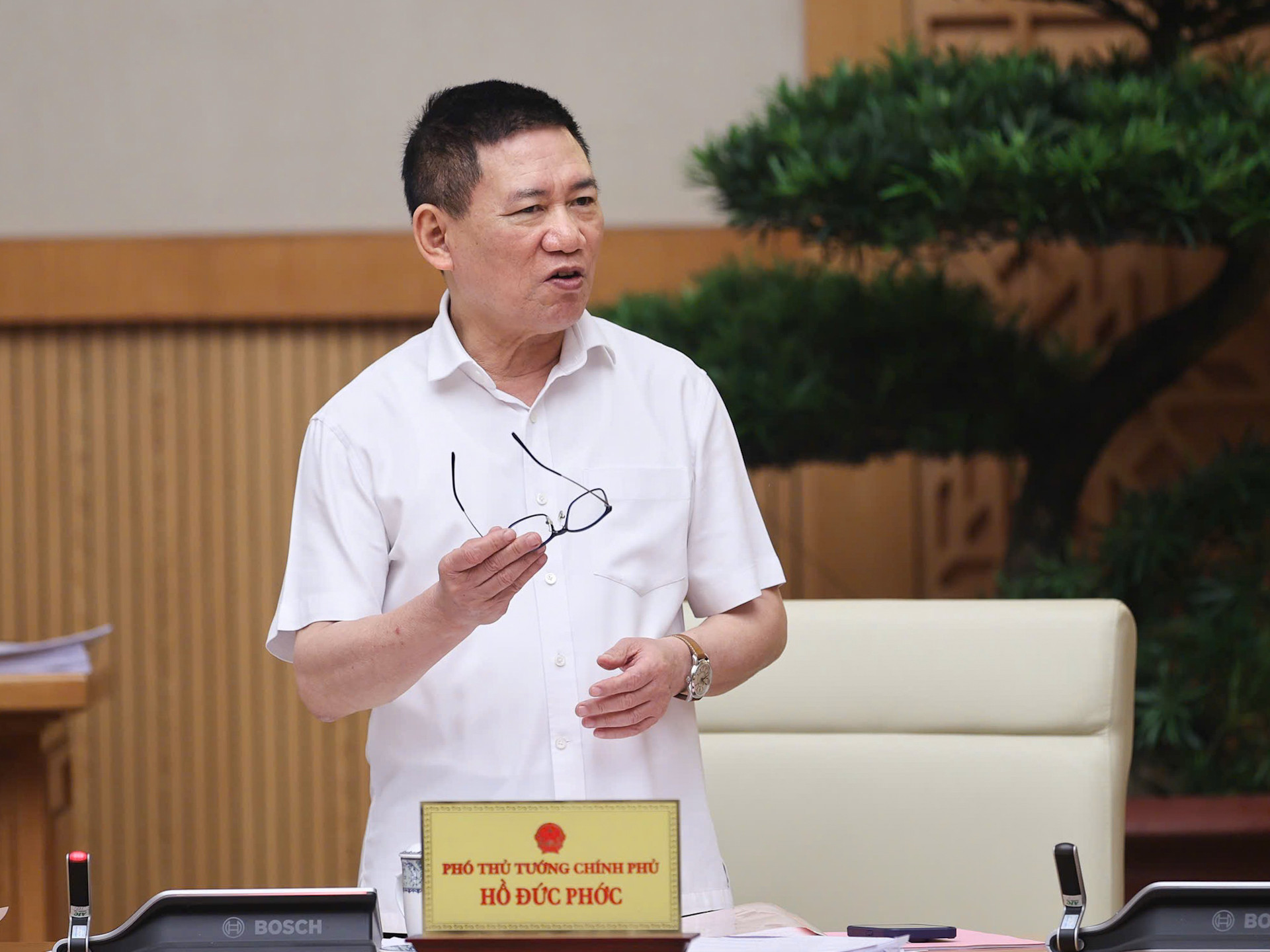 Phó Thủ tướng Hồ Đức Phớc phát biểu tại phiên họp.