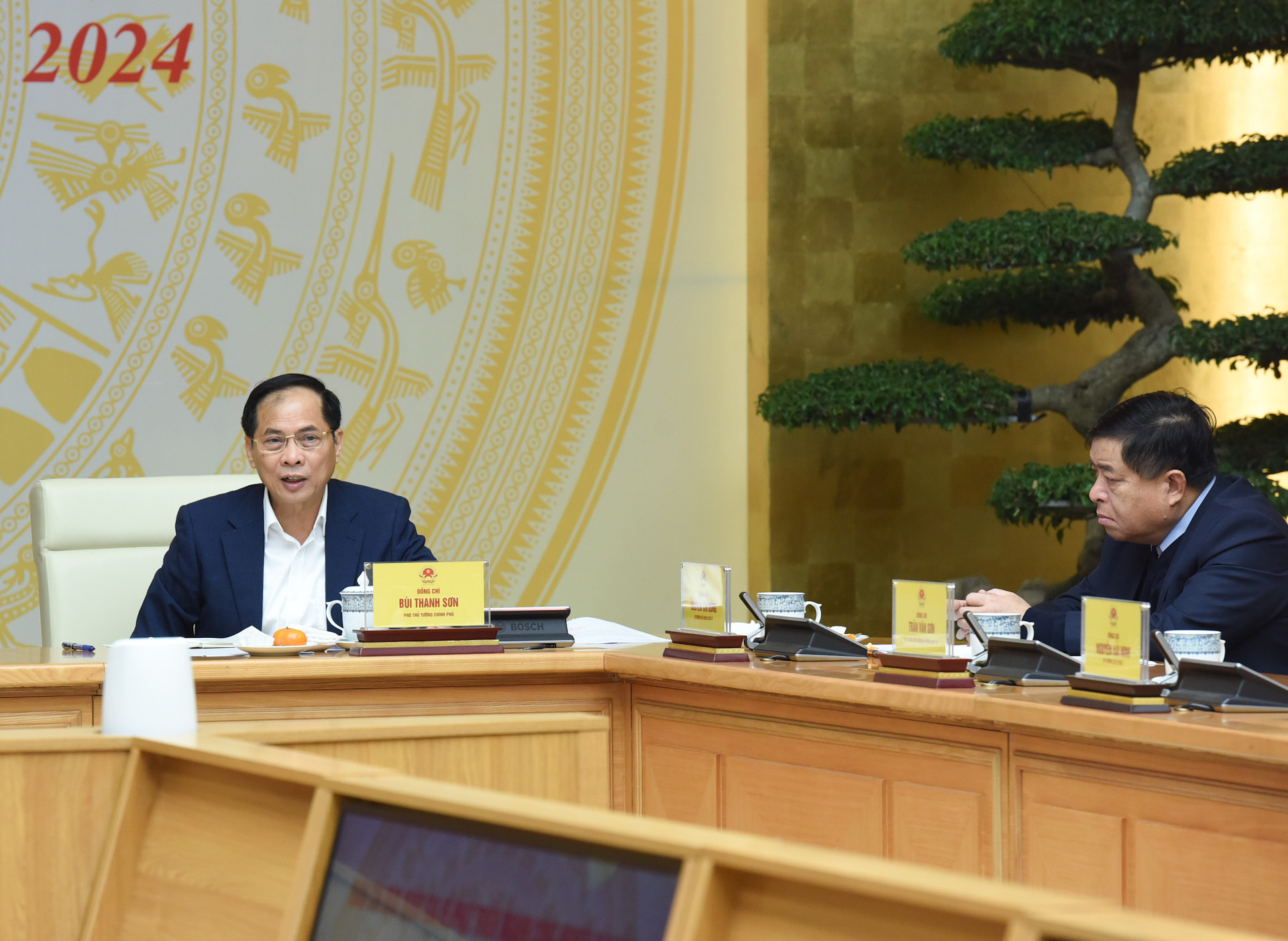 Phó Thủ tướng Bùi Thanh Sơn phát biểu.