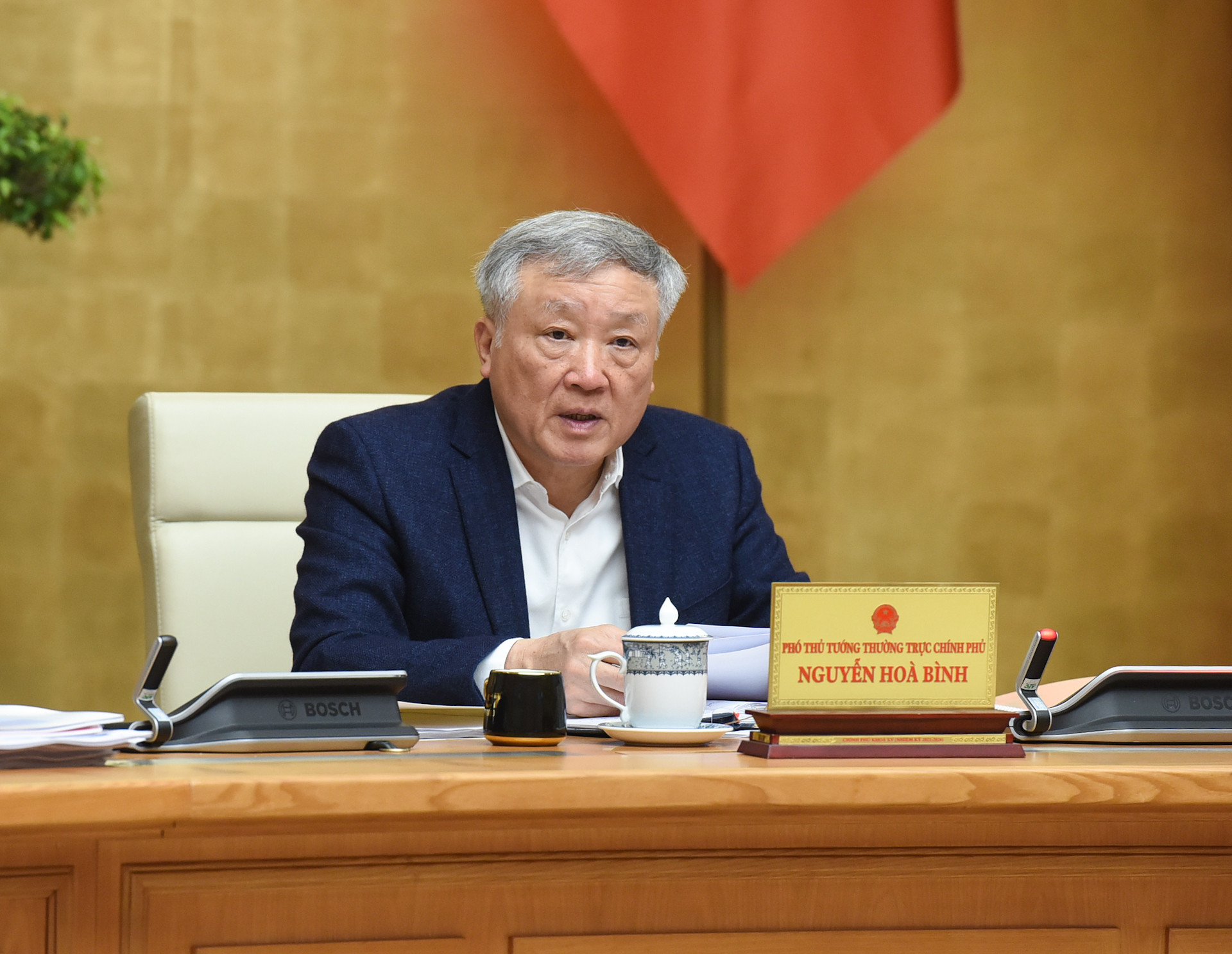 Phó Thủ tướng Thường trực Nguyễn Hòa Bình phát biểu.