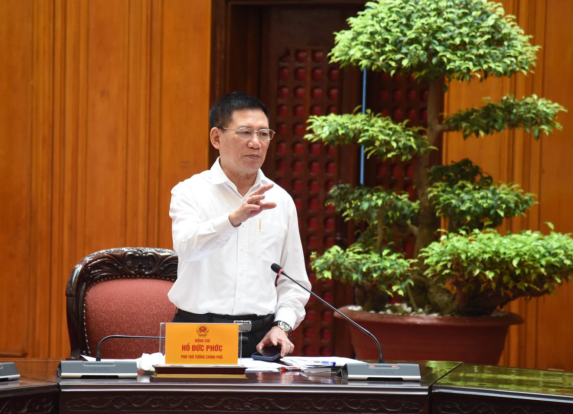 Phó Thủ tướng Chính phủ Hồ Đức Phớc phát biểu.