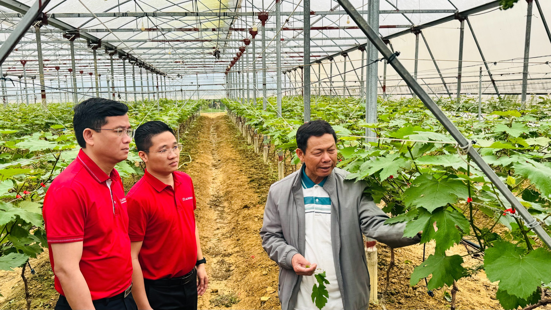 Agribank chủ động và tích cực đầu tư phát triển nông nghiệp sạch, nông nghiệp công nghệ cao. Agribank chủ động và tích cực đầu tư phát triển nông nghiệp sạch, nông nghiệp công nghệ cao.