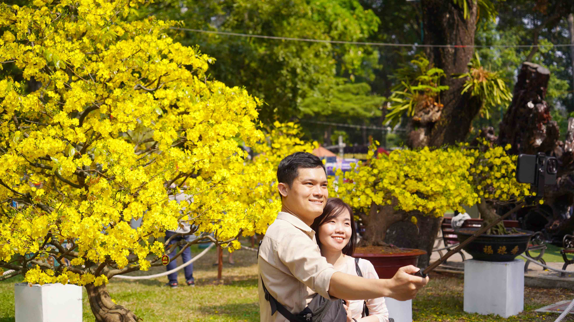 Trong ngày khai trương, đã có hàng trăm du khách từ khắp nơi kéo đến Hội hoa xuân để tham quan, chiêm ngưỡng, chụp ảnh.