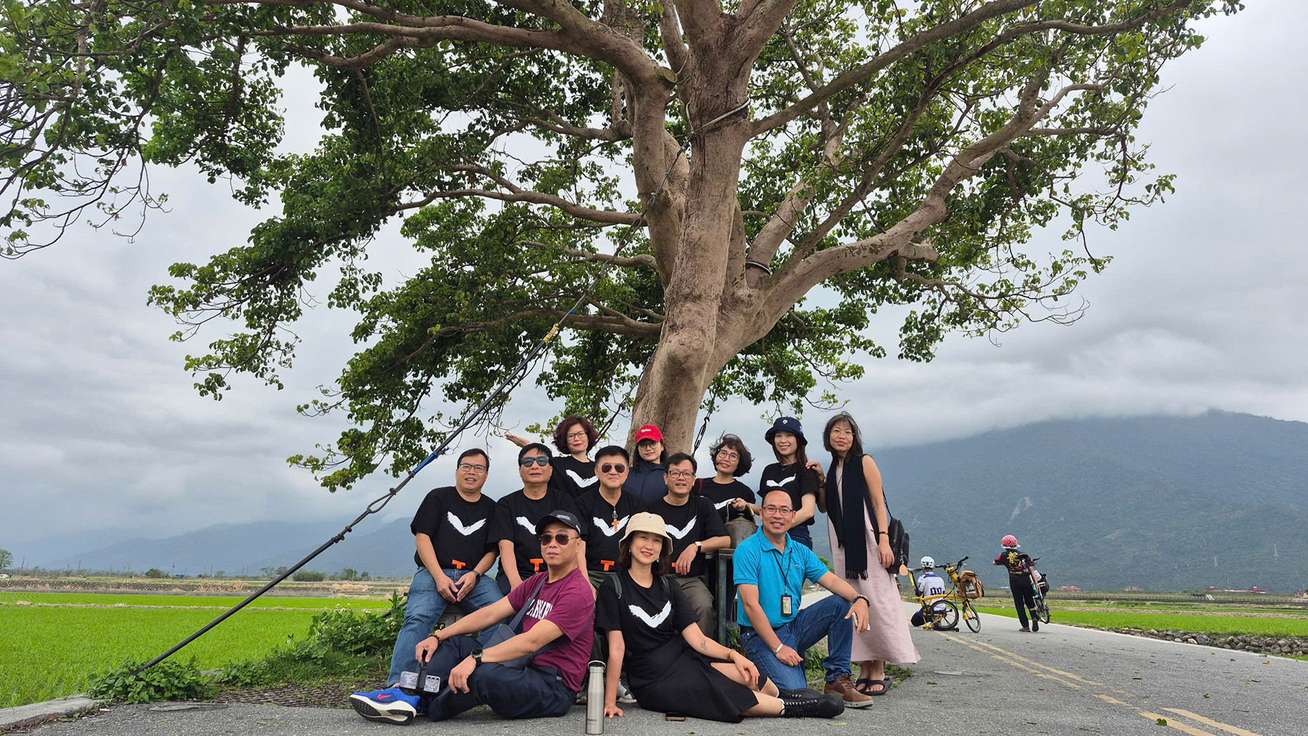 Khách du lịch check-in dưới tán "cây cô đơn".