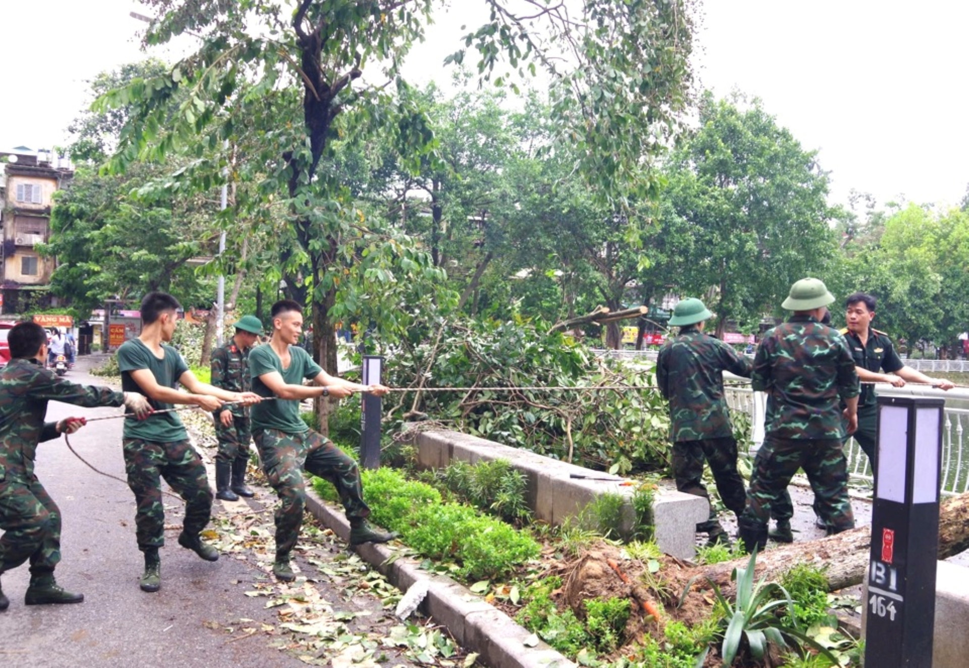 Các đơn vị quân đội tham gia dọn dẹp, xử lý cây đổ tại quận Đống Đa.