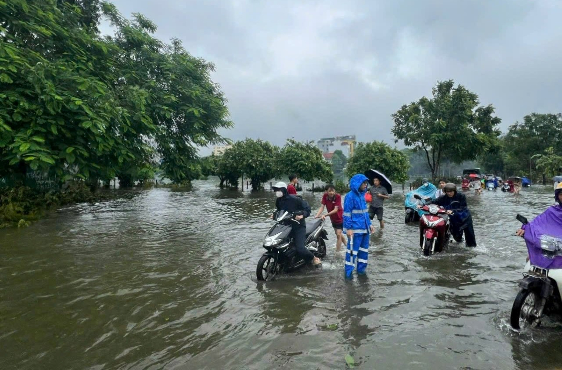 Thanh tra giao thông vào cuộc hỗ trợ điều tiết giao thông và hỗ trợ người dân tại các khu vực bị ngập lụt.