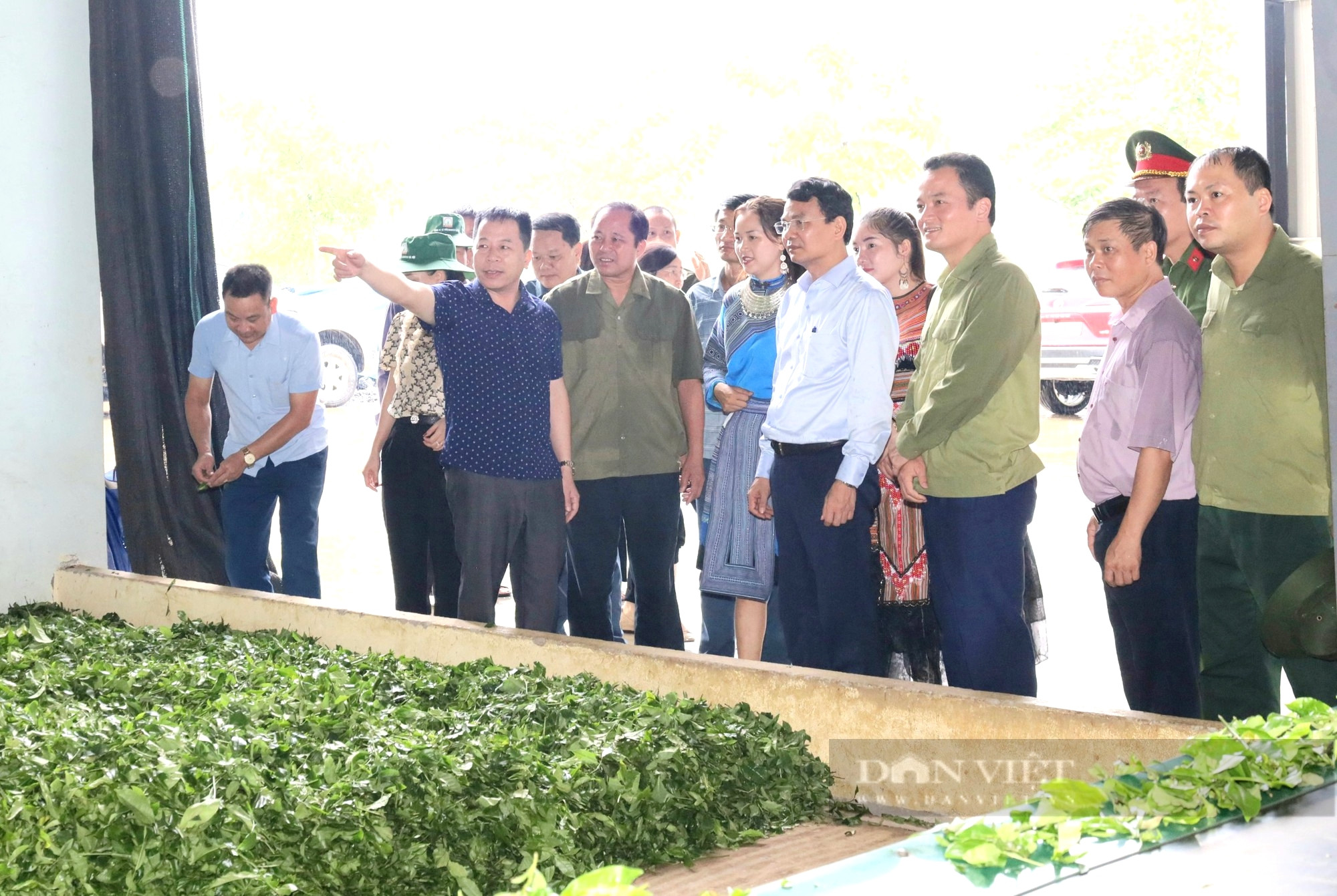 Bí thư Tỉnh ủy Lào Cai Đặng Xuân Phong thị sát, kiểm tra cơ sở sản xuất chè chât lượng cao, phục vụ xuất khẩu, ở vùng cao huyện Mường Khương (Lào Cai). Ảnh: ĐỨC PHƯƠNG