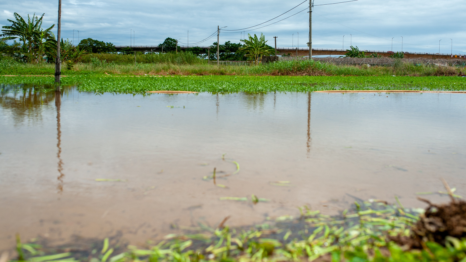 Nhiều khu vực tại làng rau La Hường vẫn ngập úng nặng nề.