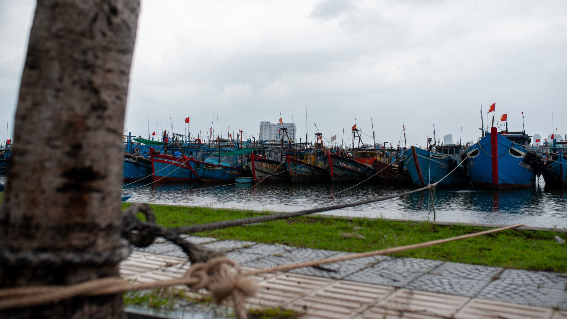 Tại Cảng cá Thọ Quang, các tàu thuyền đã được ngư dân neo đậu, gia cố an toàn.