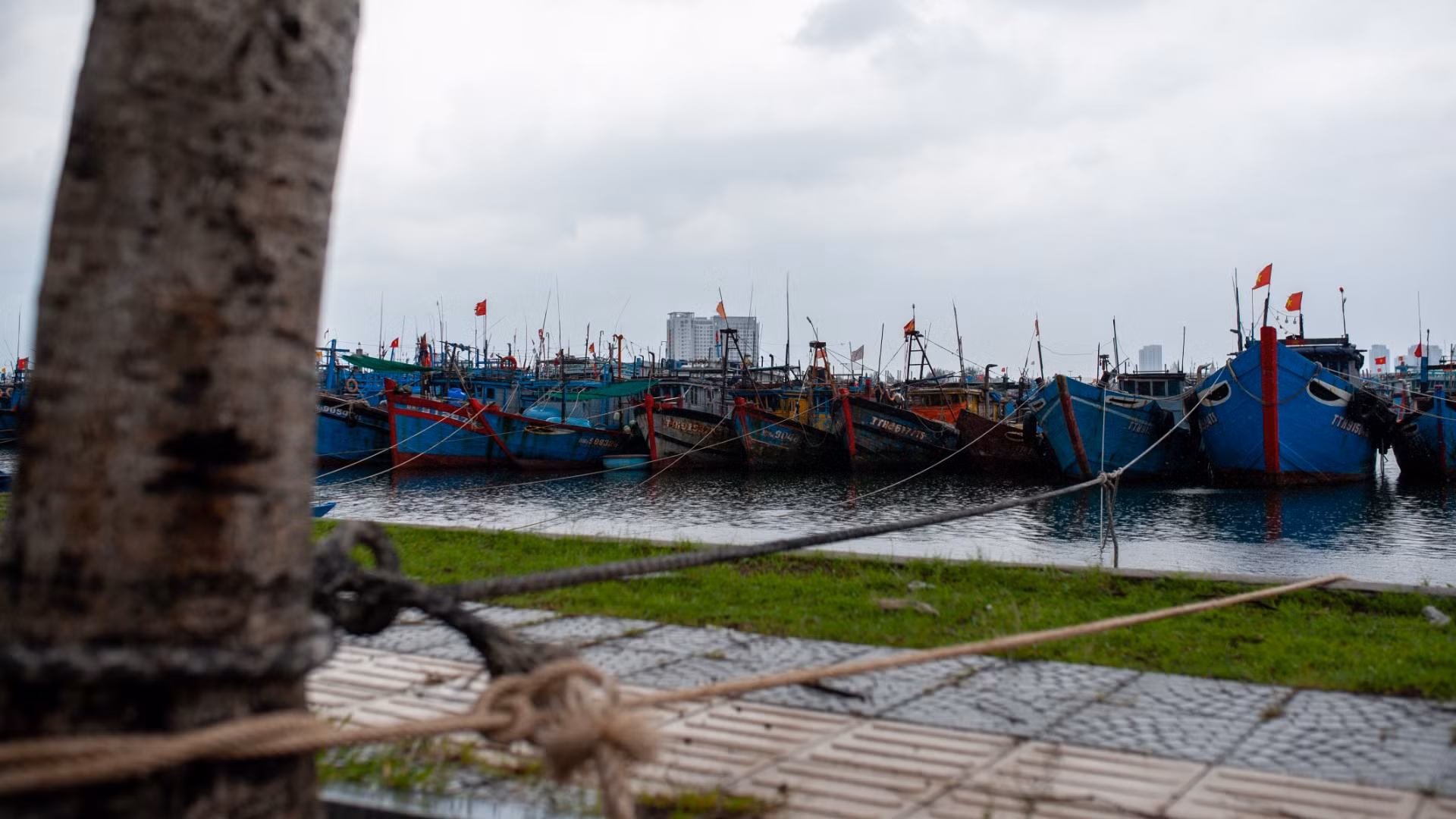 Tại Cảng cá Thọ Quang, các tàu thuyền đã được ngư dân neo đậu, gia cố an toàn.