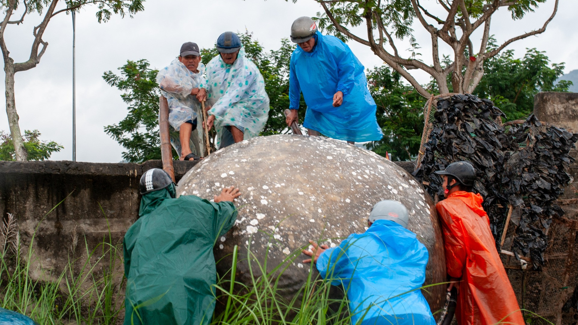 Công tác phòng, chống bão của người dân tương đối nặng nhọc và cấp bách.
