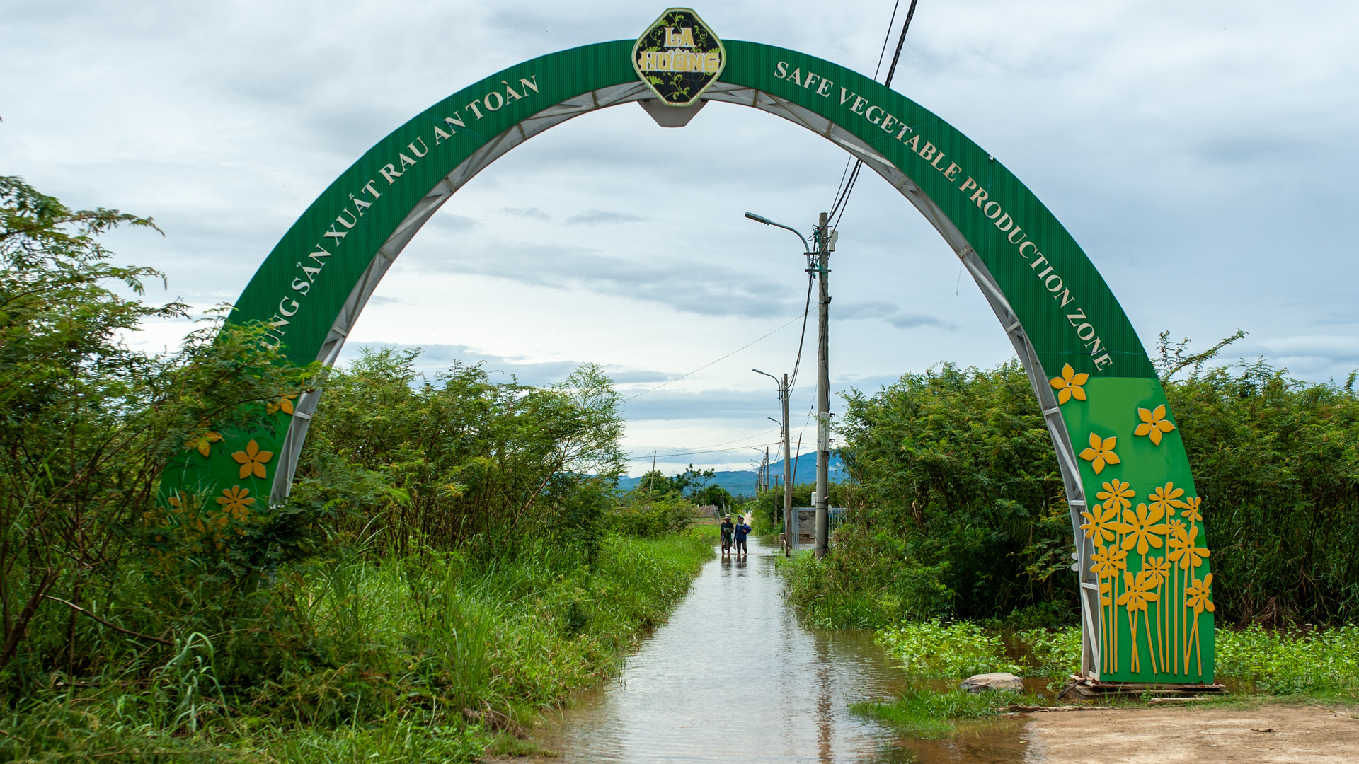 Dù trời đã nắng nhưng làng rau La Hường vẫn bị ngập úng.