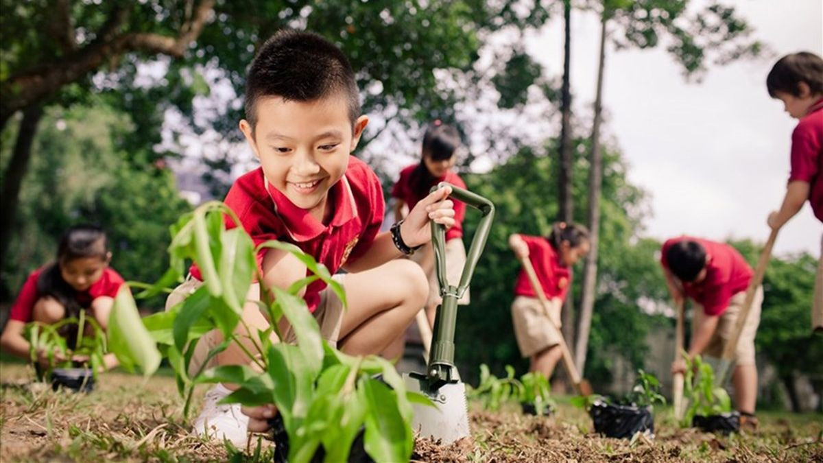 Chỉ cần mỗi cá nhân nhận biết các hành động tiết kiệm năng lượng, giảm rác thải nhựa... là có thể mang đến một đời sống phát triển xanh và bền vững (Nguồn: Internet)