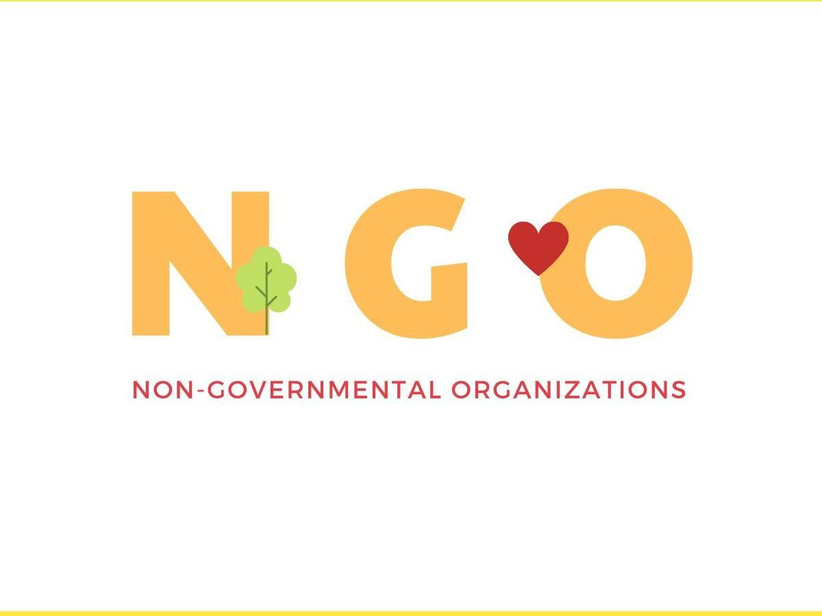 Các tổ chức phi chính phủ (Non - Governmental Organizations) là các tổ chức hoạt động vì mục tiêu văn hóa, xã hội, môi trường... mà không phải vì thương mại (Nguồn: Internet) 