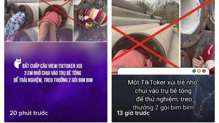 TikTok không có biện pháp kiểm soát hành vi gây hại cho trẻ em (Ảnh: Internet).