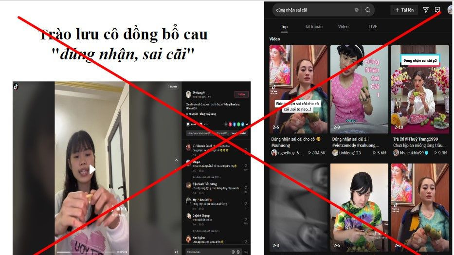 Một trào lưu xấu, độc trên TikTok (Ảnh: Internet).
