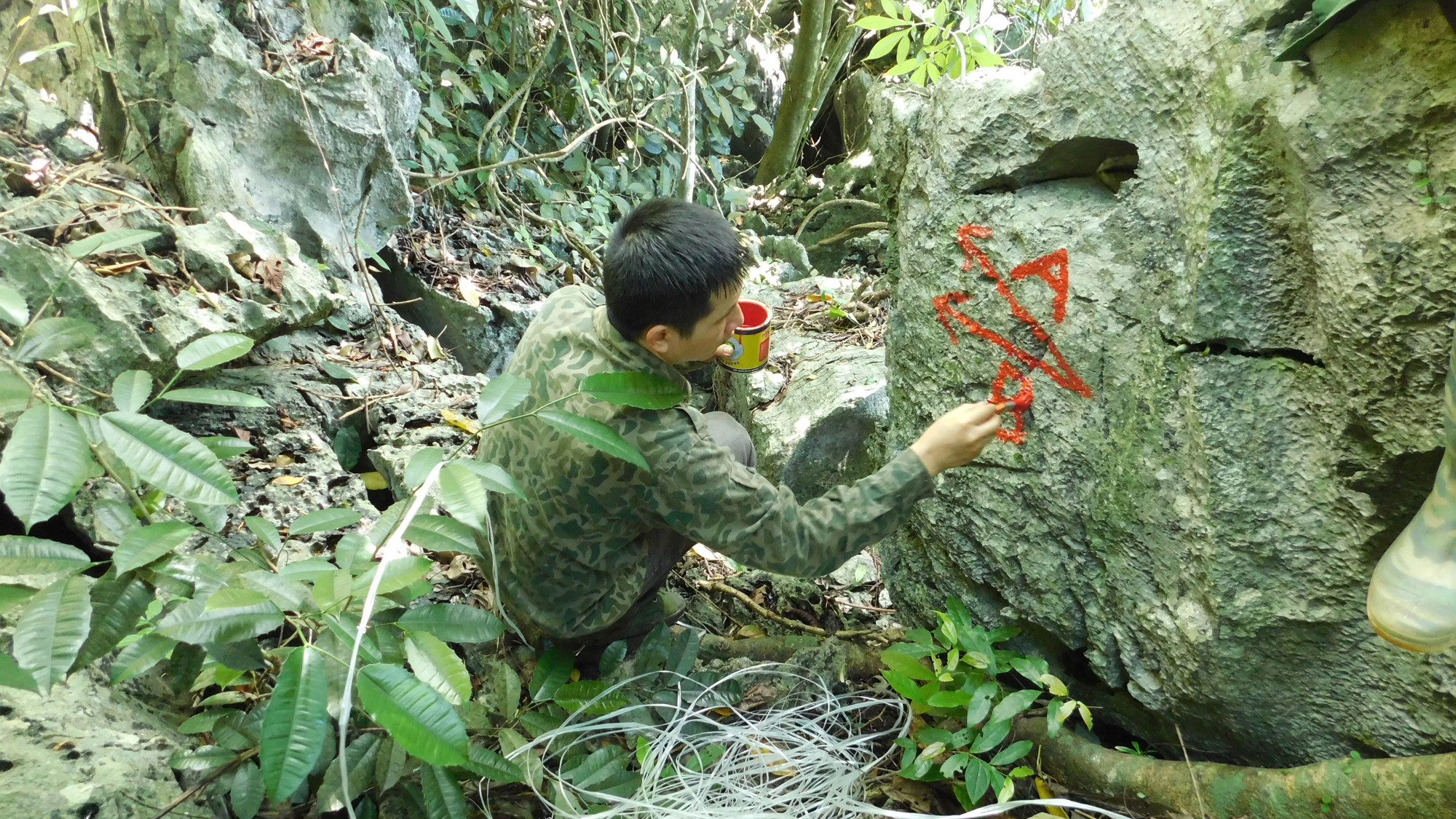 Đánh dấu tuyến đường theo dấu voọc quần đùi trắng giữa rừng Kim Bảng, Hà Nam. (Ảnh: Trung tâm bảo tồn thiên nhiên và phát triển)