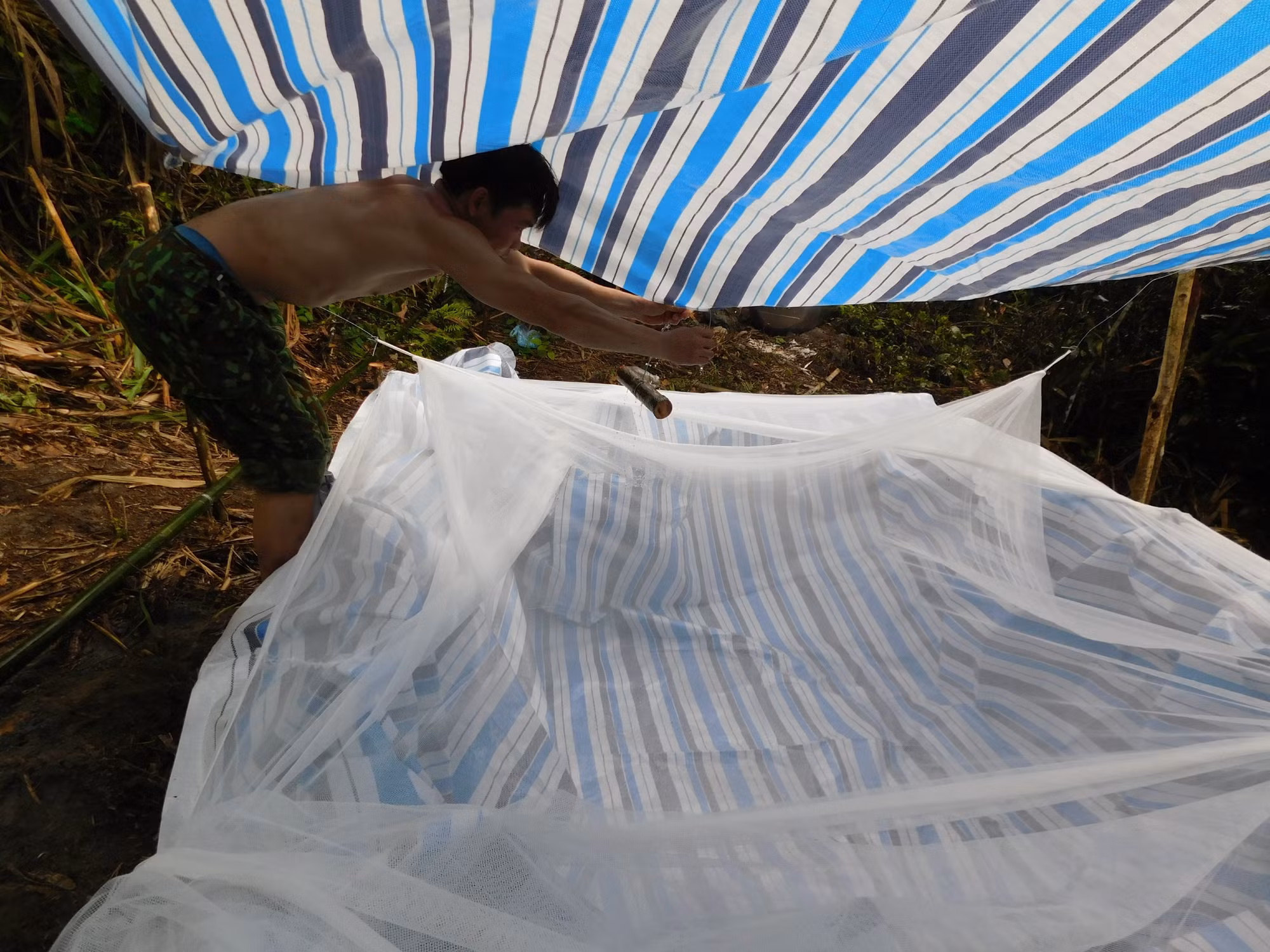 Mắc màn cho bể nước - cách làm chỉ những cán bộ thực địa theo chân loài động vật linh trưởng quý mới nghĩ ra. (Ảnh: Trung tâm Bảo tồn Thiên nhiên và Phát triển)