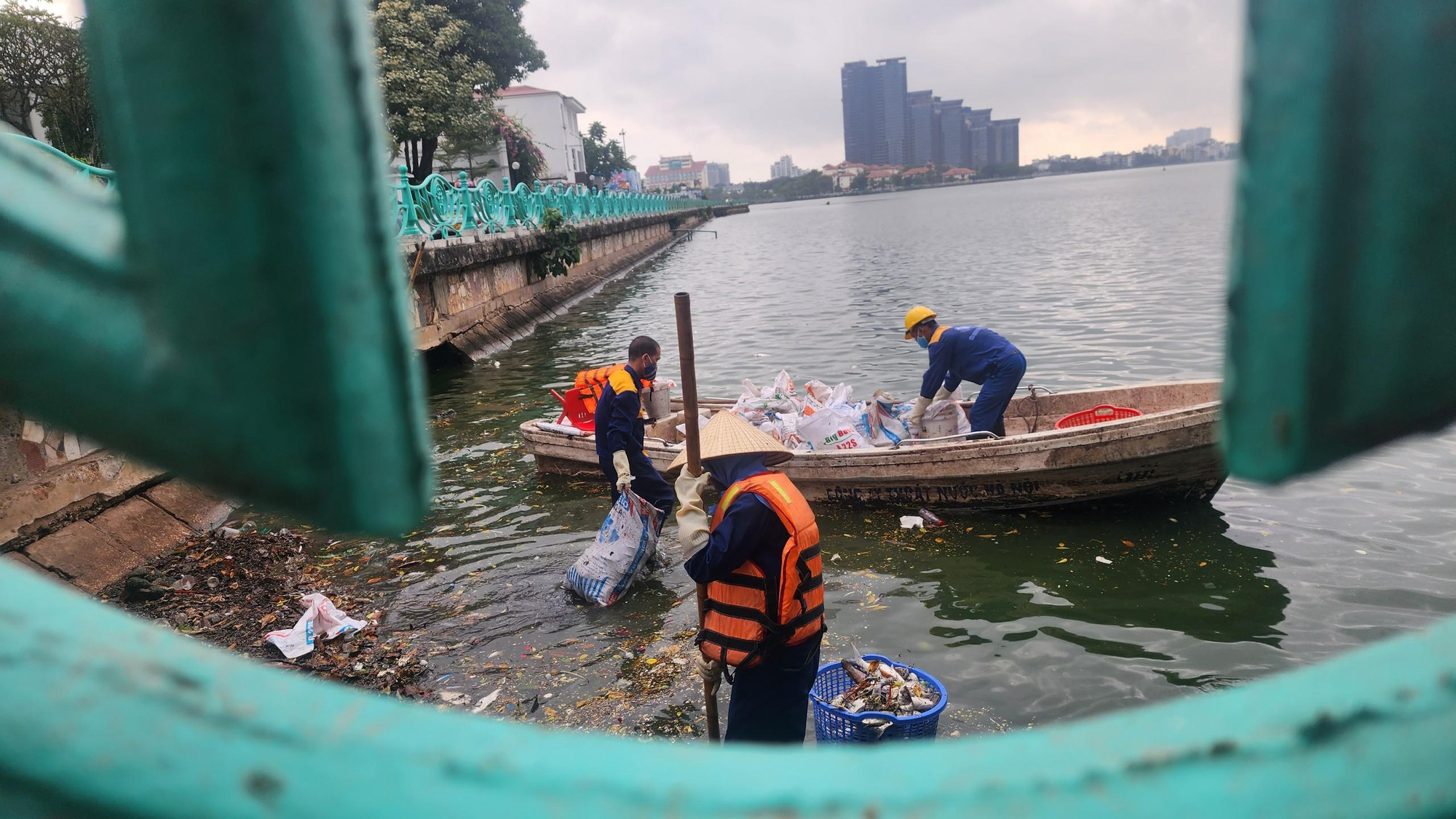 Chỉ sau chừng 30 phút làm việc, chiếc thuyền đã chất đầy các bao tải cá chết.
