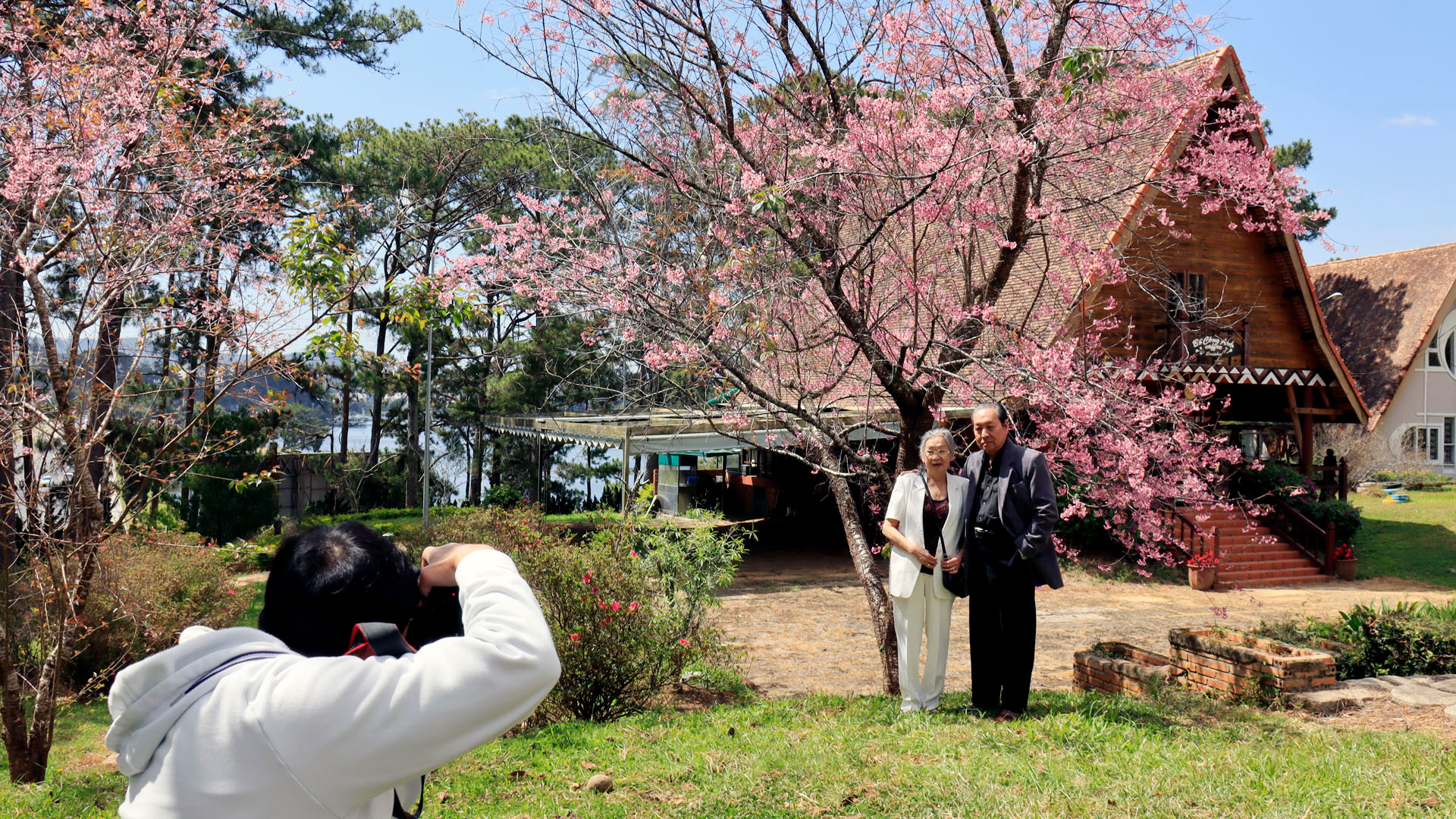 Sắc hoa Xuân nồng nàn thu hút nhiều lứa tuổi tìm đến ghi hình lưu dấu kỷ niệm.